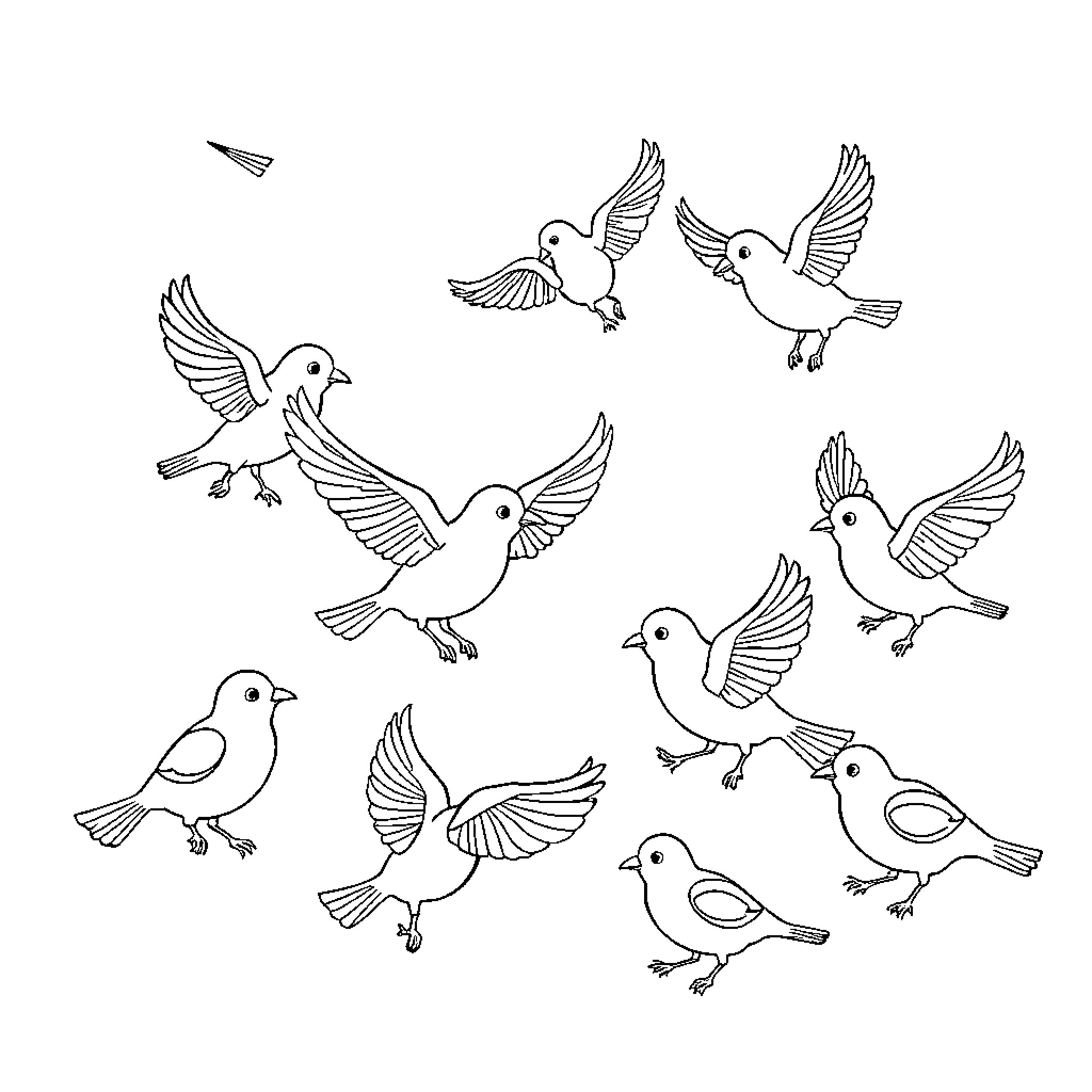 Birds in flight with expressive poses Coloring Page (free black-and-white line drawing printable PDF for all, from beginners to advanced learners, including children, teens, adults, and seniors)