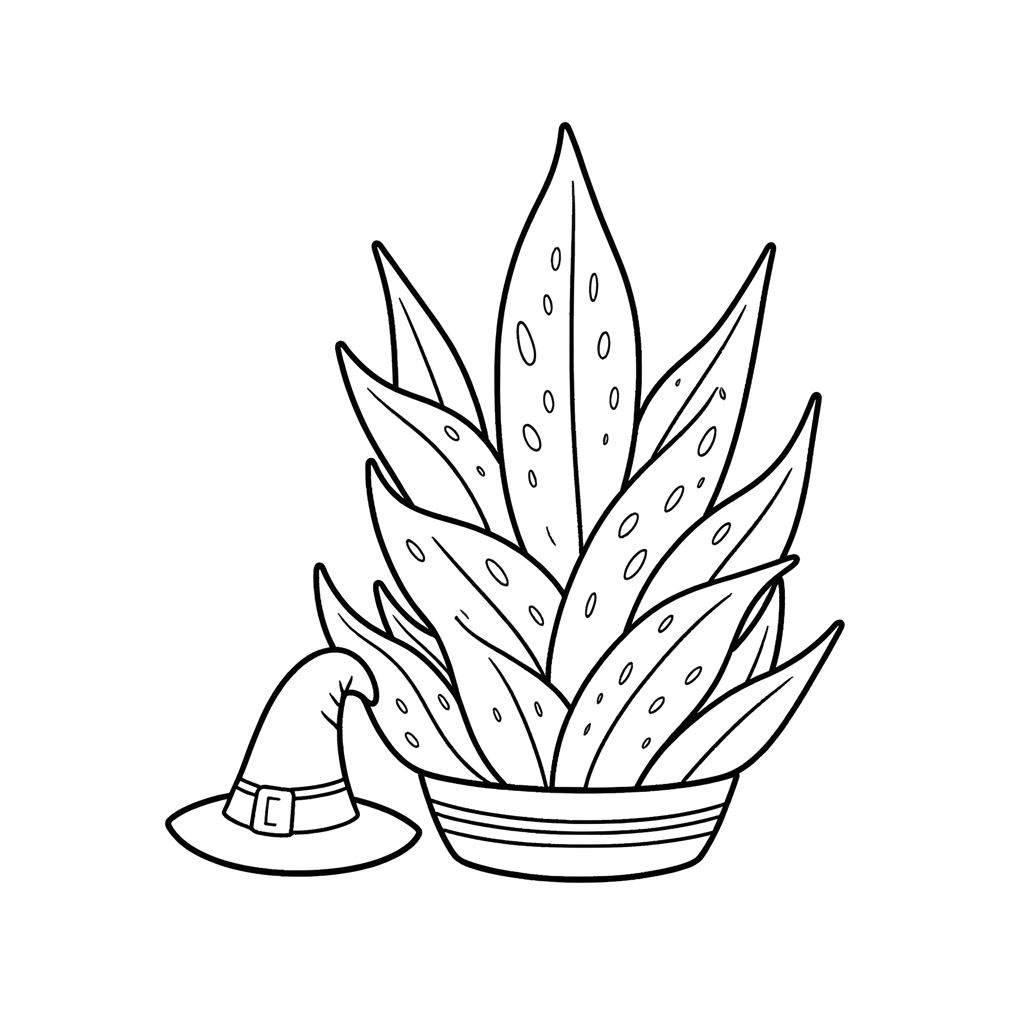 Monstera leaves with a witch's hat Coloring Page (free black-and-white line drawing printable PDF for all, from beginners to advanced learners, including children, teens, adults, and seniors)