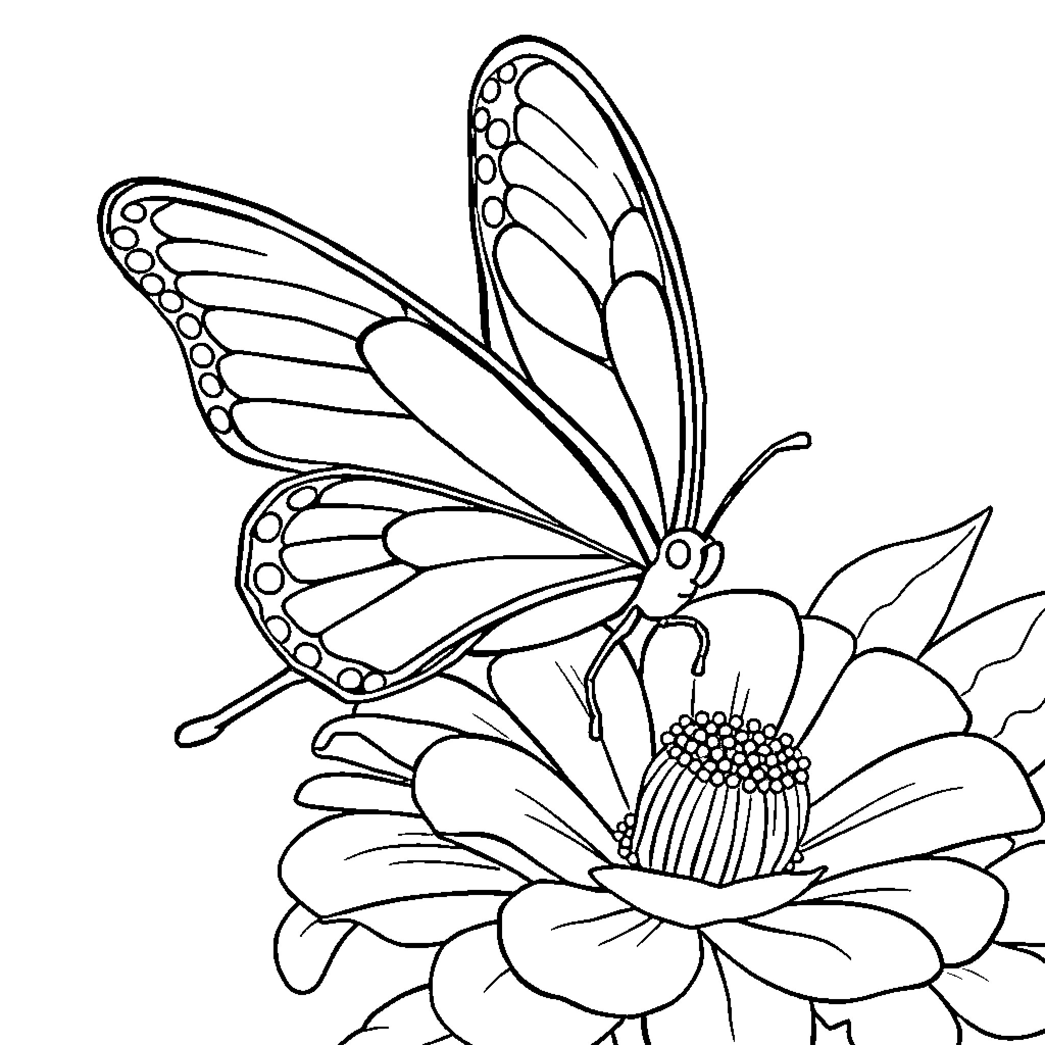 Butterfly fluttering gracefully on a blooming flower Coloring Page (free black-and-white line drawing printable PDF for all, from beginners to advanced learners, including children, teens, adults, and seniors)