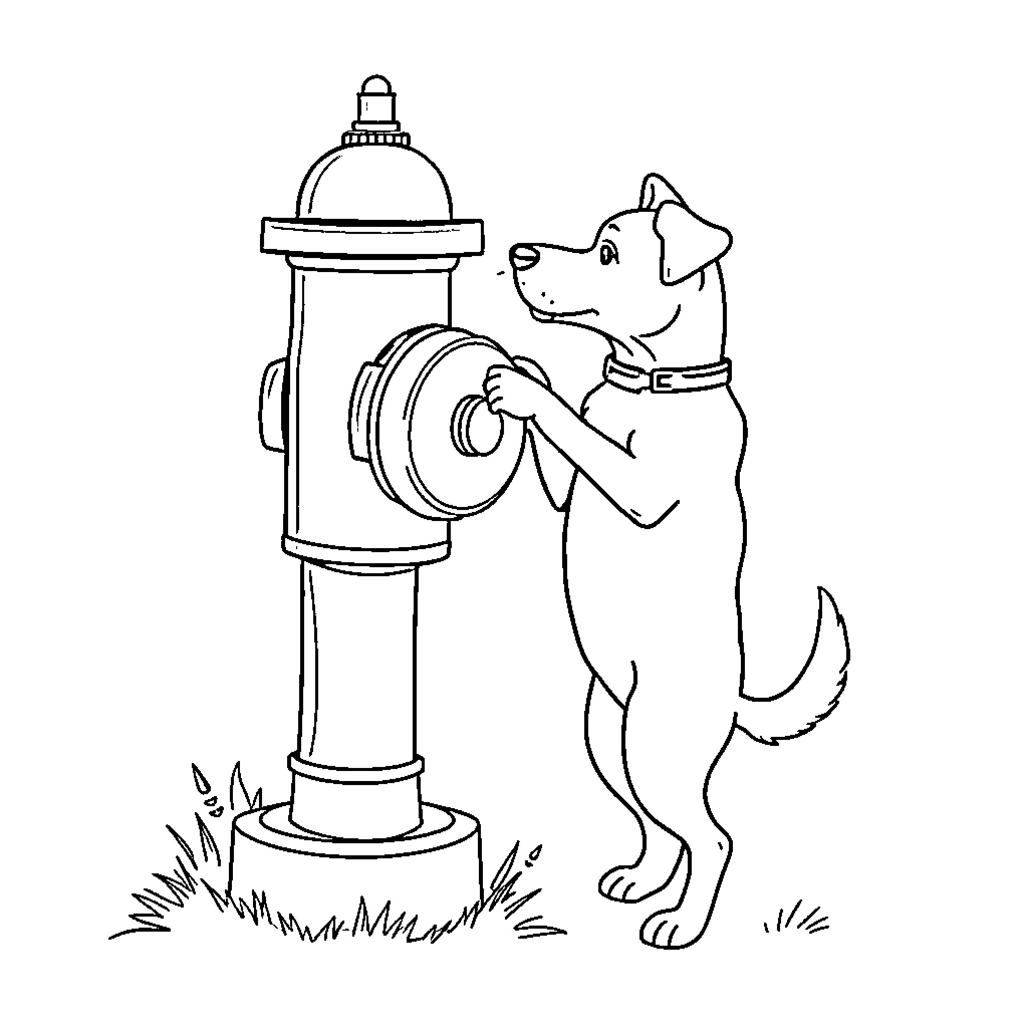 Dog Marking Territory by Fire Hydrant Coloring Page (free black-and-white line drawing printable PDF for all, from beginners to advanced learners, including children, teens, adults, and seniors)