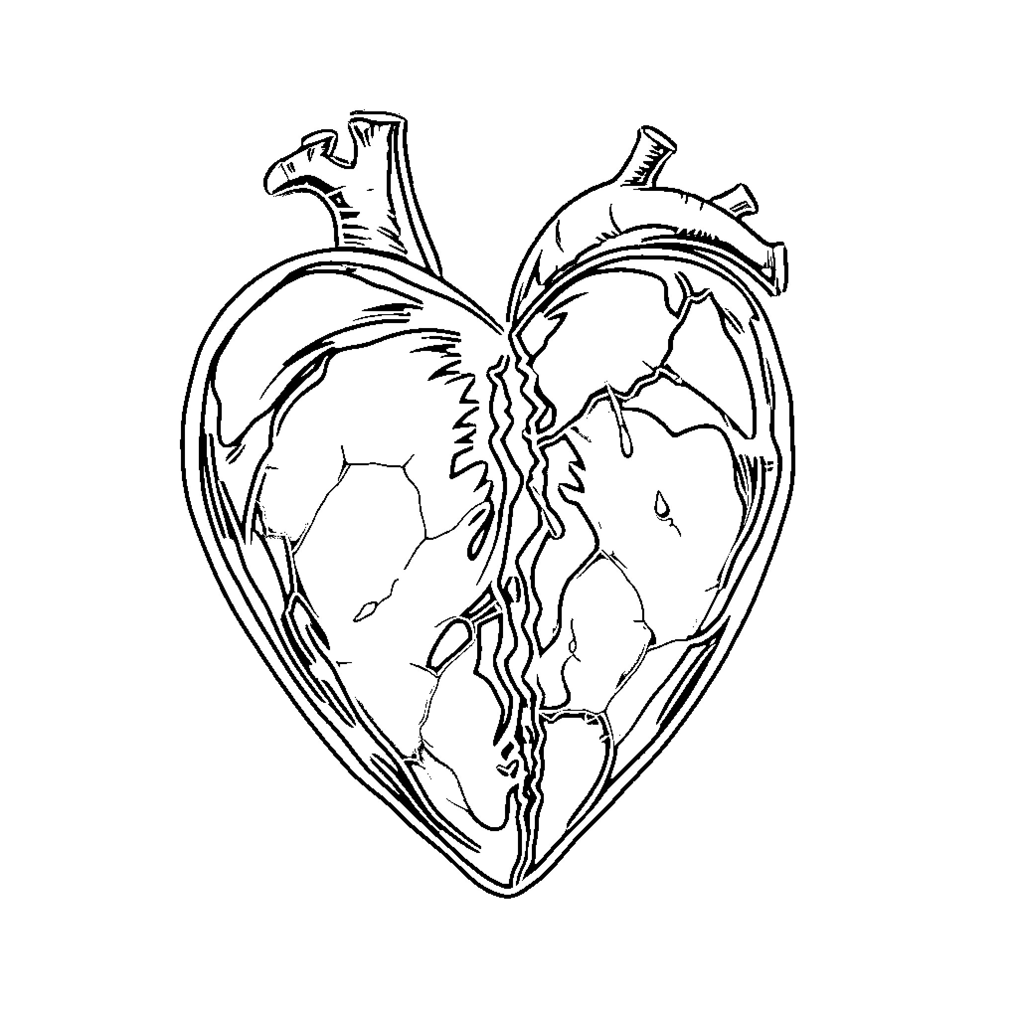 Heart with intricate design Coloring Page (free black-and-white line drawing printable PDF for all, from beginners to advanced learners, including children, teens, adults, and seniors)