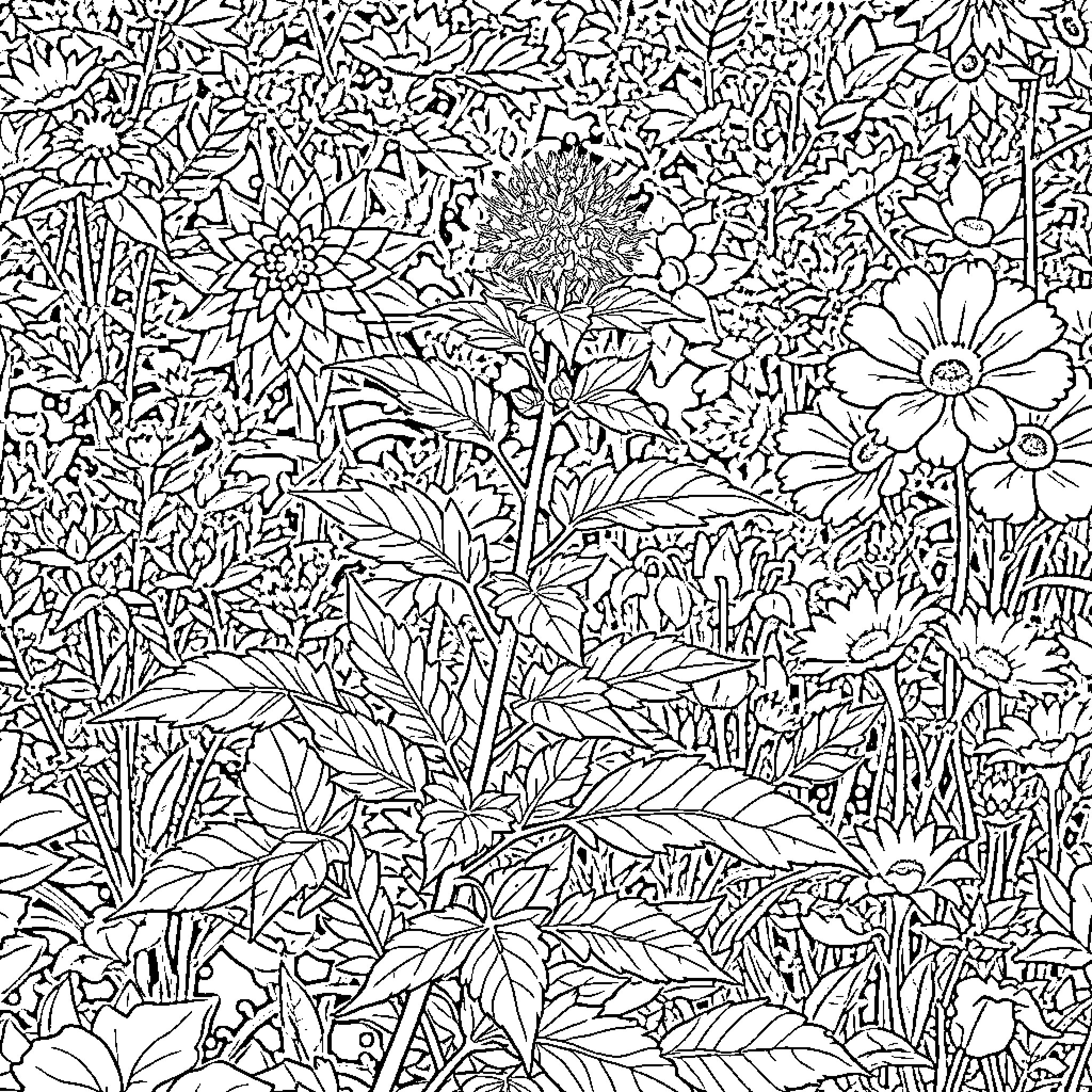 Mugwort blooming in a lush floral meadow Coloring Page (free black-and-white line drawing printable PDF for all, from beginners to advanced learners, including children, teens, adults, and seniors)