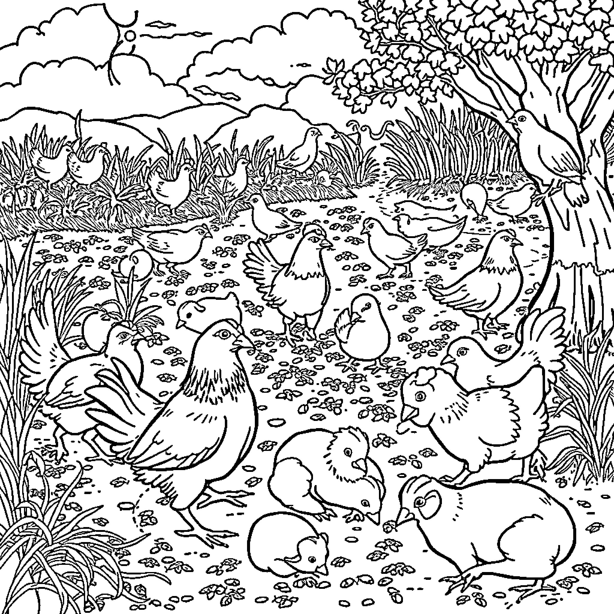 Animal farm with chickens and chicks in nature Coloring Page (free black-and-white line drawing printable PDF for all, from beginners to advanced learners, including children, teens, adults, and seniors)