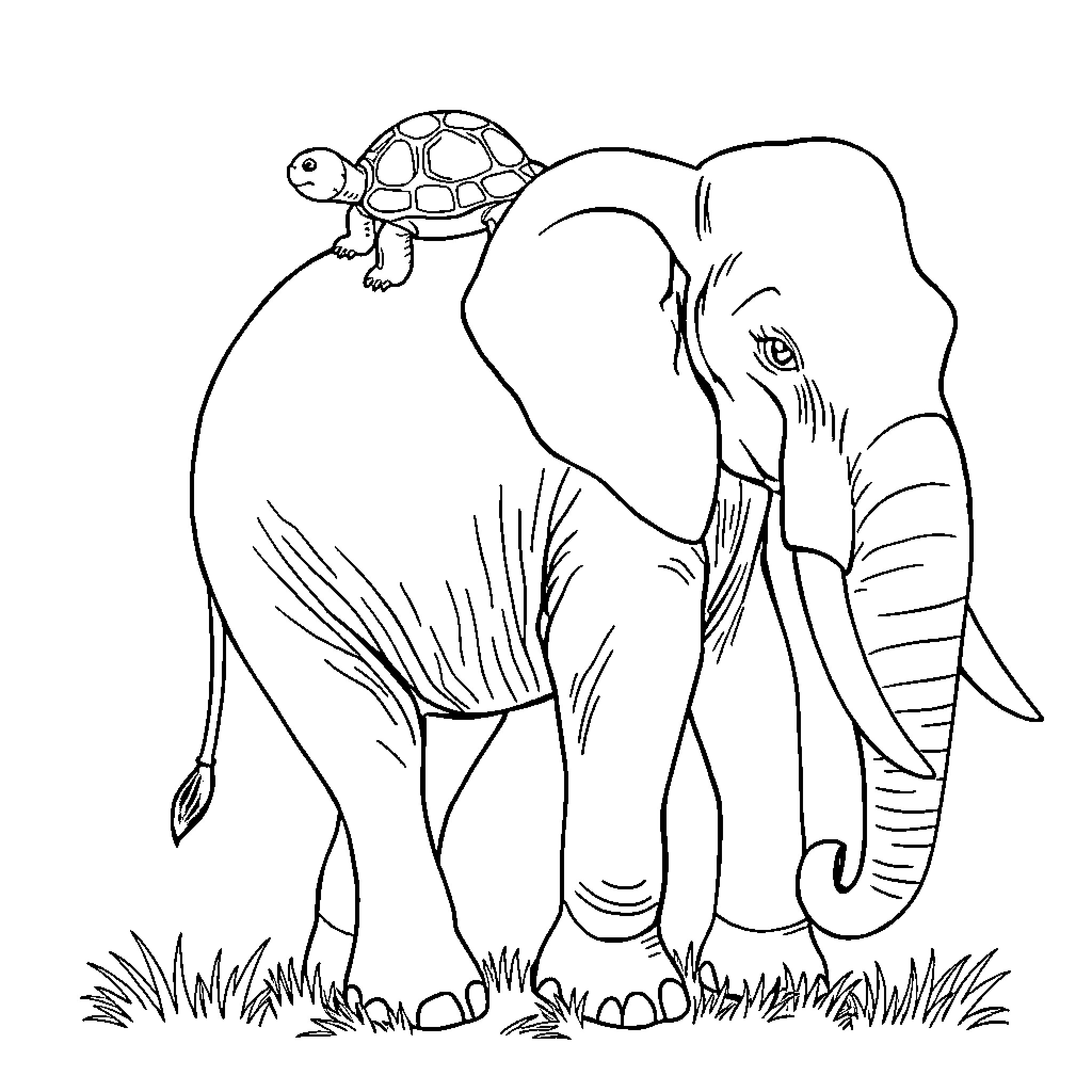 Tortoise riding on elephant in grassy field Coloring Page (free black-and-white line drawing printable PDF for all, from beginners to advanced learners, including children, teens, adults, and seniors)
