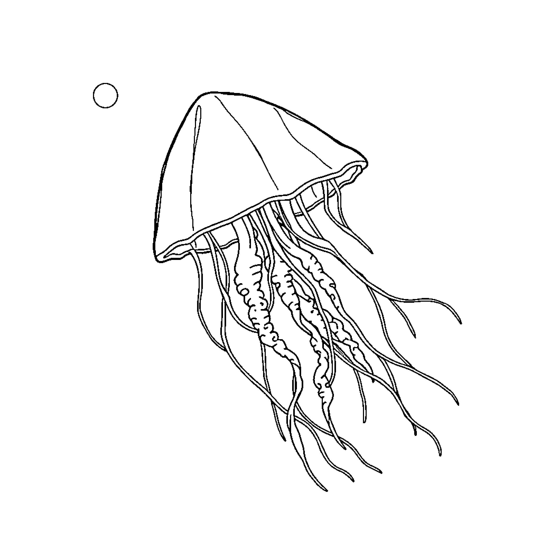 Jellyfish drifting gracefully through the ocean Coloring Page (free black-and-white line drawing printable PDF for all, from beginners to advanced learners, including children, teens, adults, and seniors)