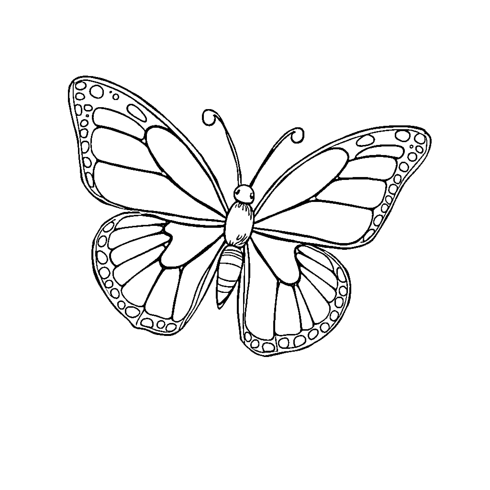 Butterfly with intricate wing patterns Coloring Page (free black-and-white line drawing printable PDF for all, from beginners to advanced learners, including children, teens, adults, and seniors)