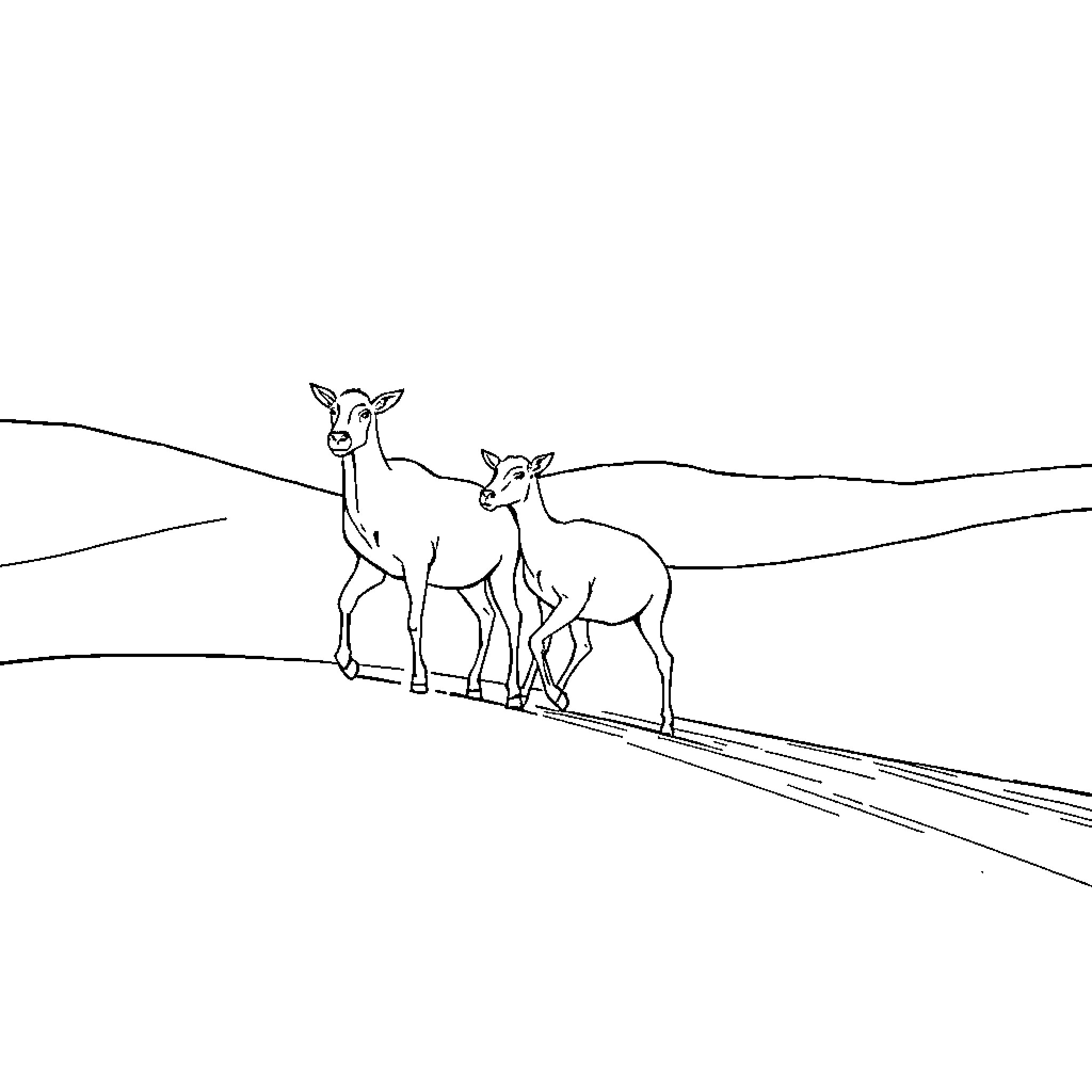 Chameau pair standing in serene landscape Coloring Page (free black-and-white line drawing printable PDF for all, from beginners to advanced learners, including children, teens, adults, and seniors)