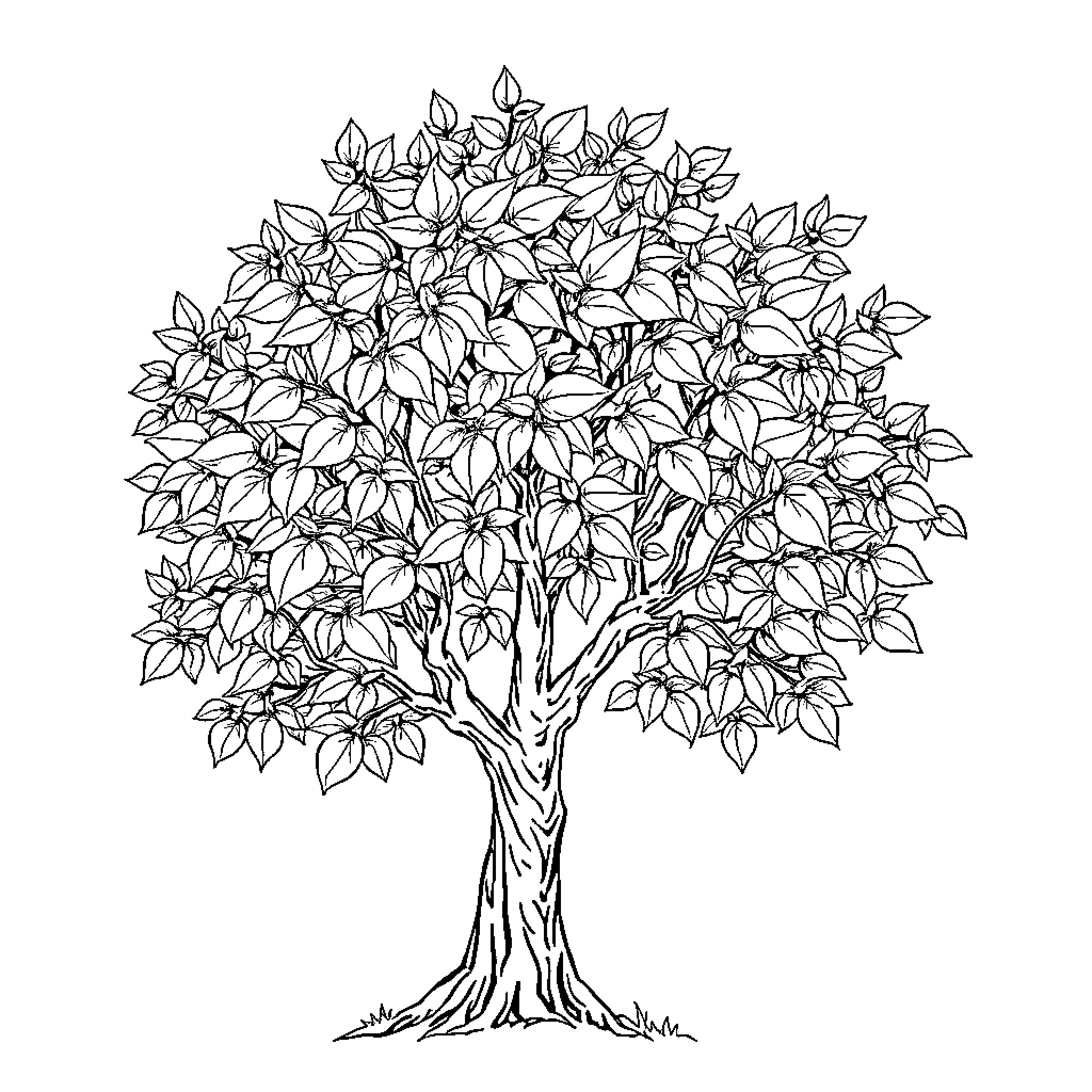 Tree with Intricate Leaf Design Coloring Page (free black-and-white line drawing printable PDF for all, from beginners to advanced learners, including children, teens, adults, and seniors)