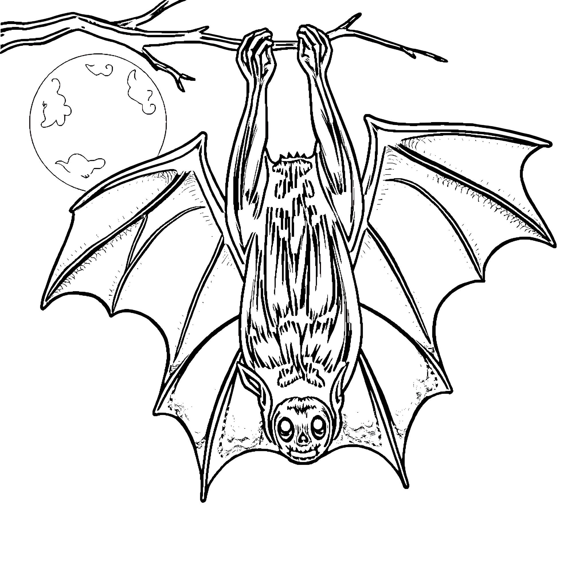 Bat hanging from tree branch under full moon Coloring Page (free black-and-white line drawing printable PDF for all, from beginners to advanced learners, including children, teens, adults, and seniors)