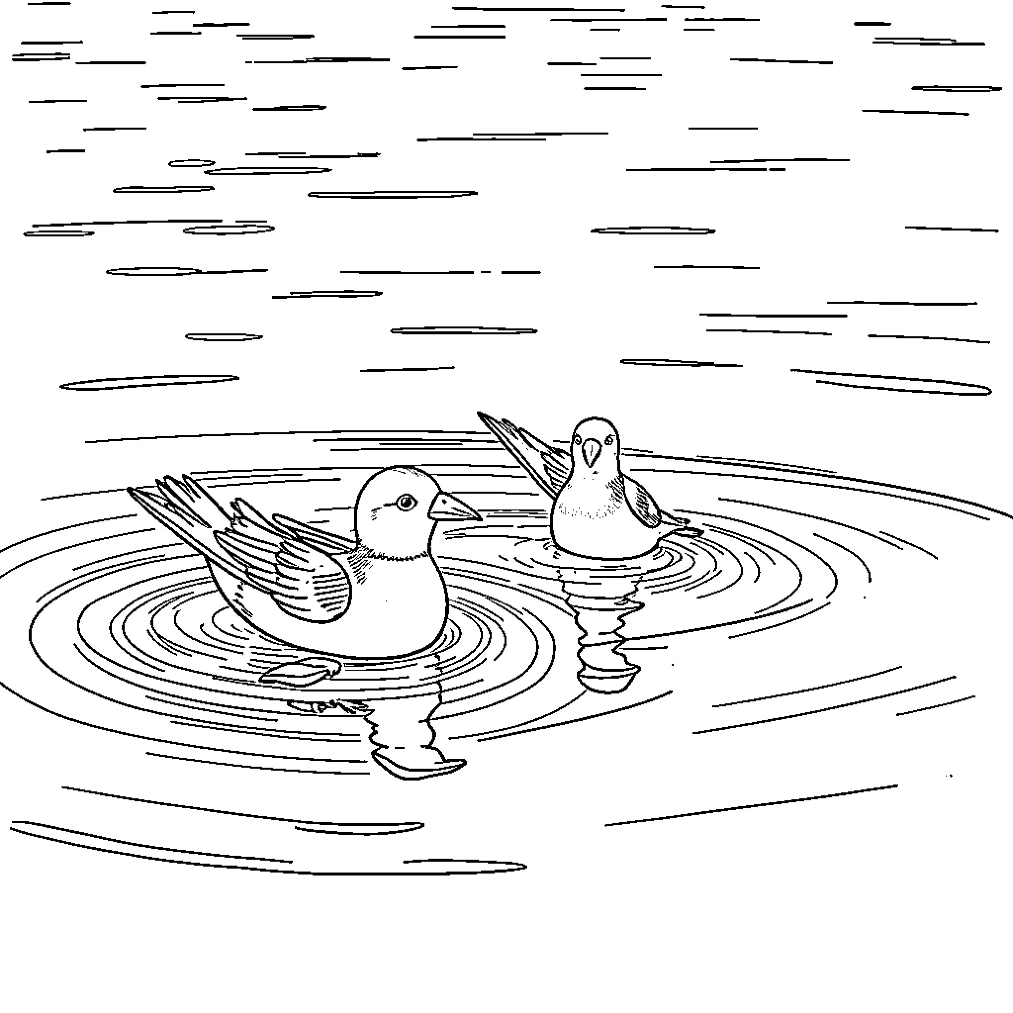 Birds swimming in a pond Coloring Page (free black-and-white line drawing printable PDF for all, from beginners to advanced learners, including children, teens, adults, and seniors)