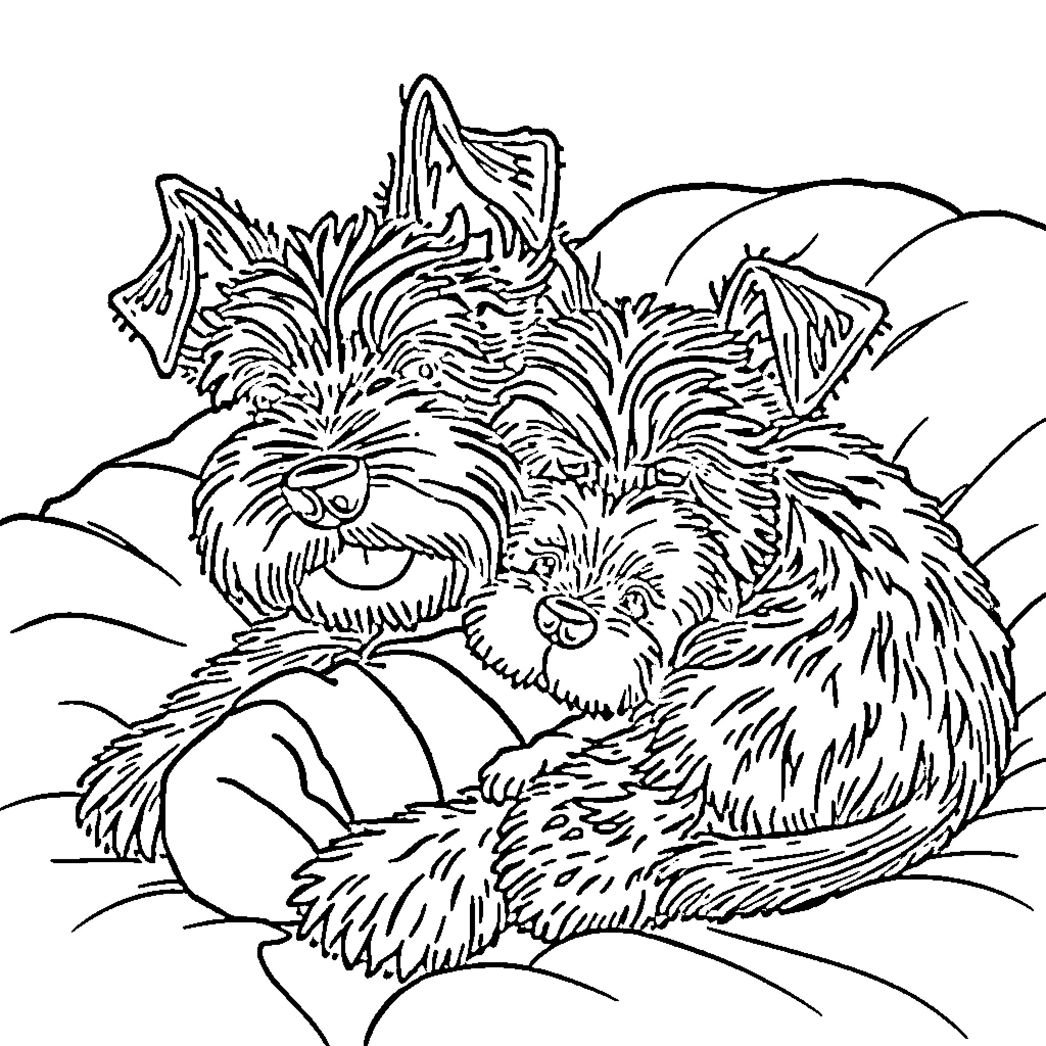 Schnauzer napping peacefully in nature Coloring Page (free black-and-white line drawing printable PDF for all, from beginners to advanced learners, including children, teens, adults, and seniors)