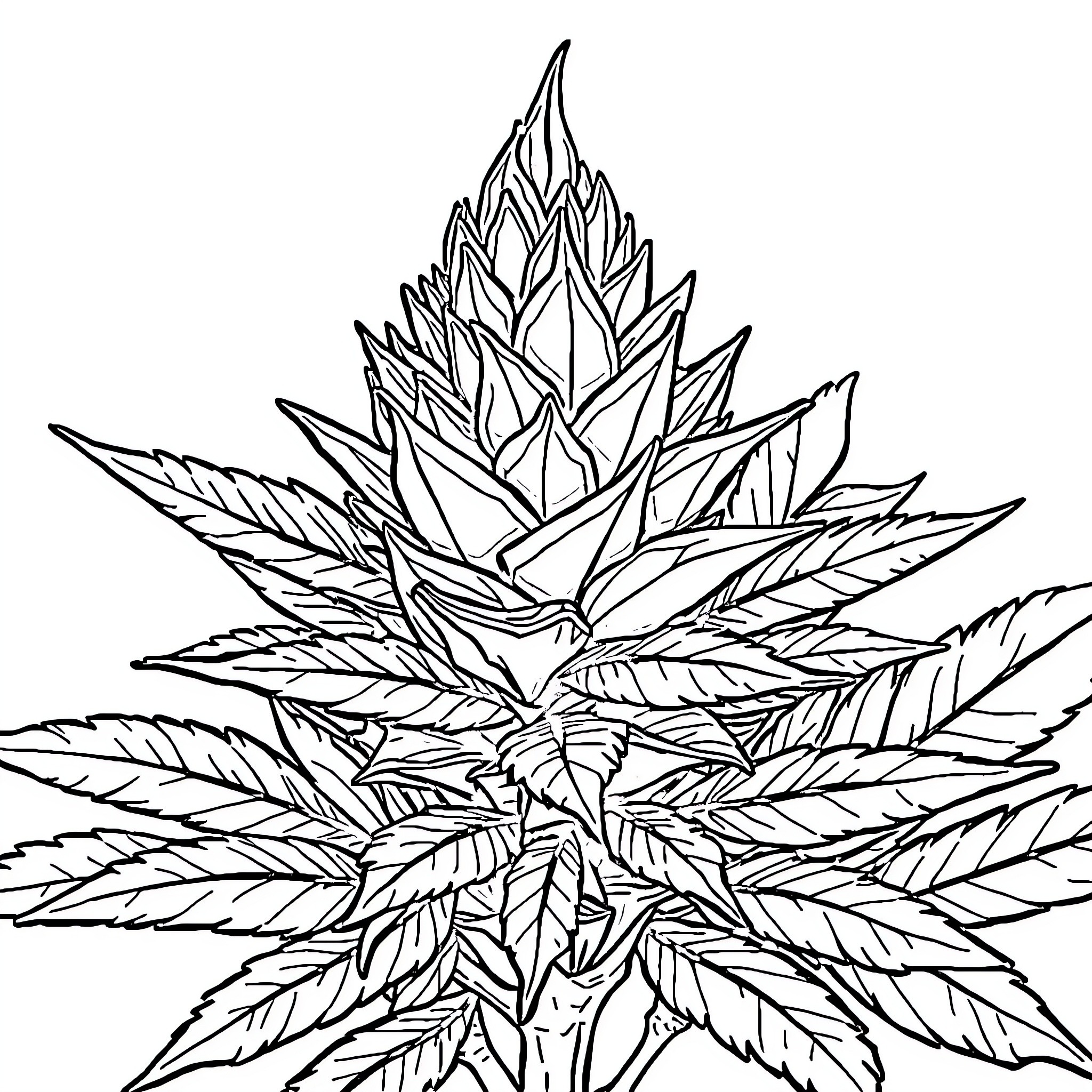 Weed plant with intricate leaf patterns Coloring Page (free black-and-white line drawing printable PDF for all, from beginners to advanced learners, including children, teens, adults, and seniors)
