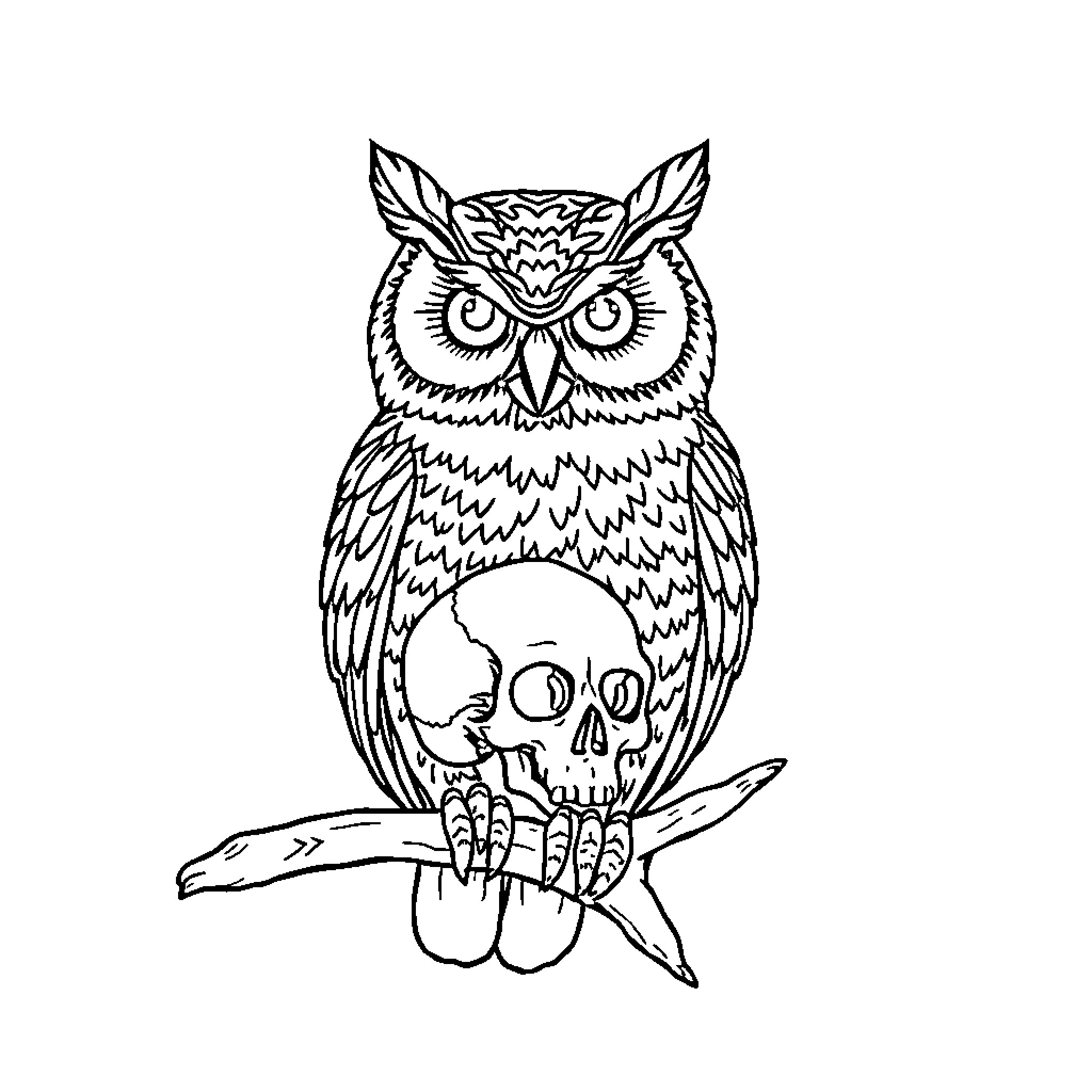 Owl perched with skull Coloring Page (free black-and-white line drawing printable PDF for all, from beginners to advanced learners, including children, teens, adults, and seniors)