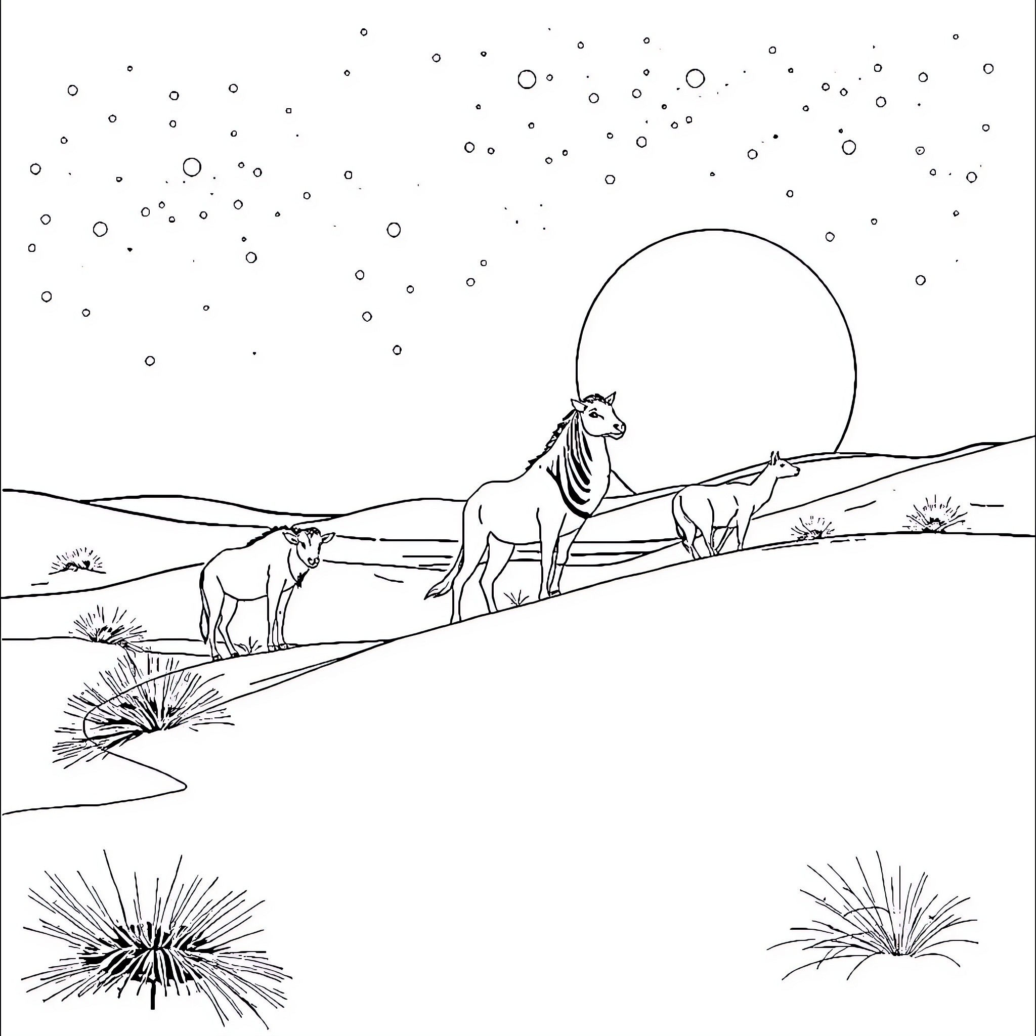 Desert Animals Standing in the Moonlight Coloring Page (free black-and-white line drawing printable PDF for all, from beginners to advanced learners, including children, teens, adults, and seniors)