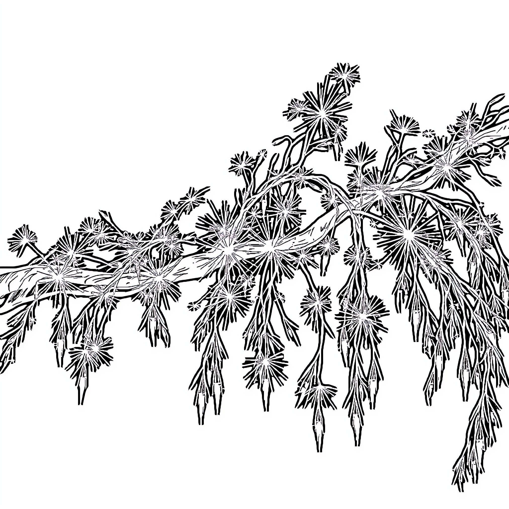 Willow Branch with Flowing Floral Details Coloring Page (free black-and-white line drawing printable PDF for all, from beginners to advanced learners, including children, teens, adults, and seniors)