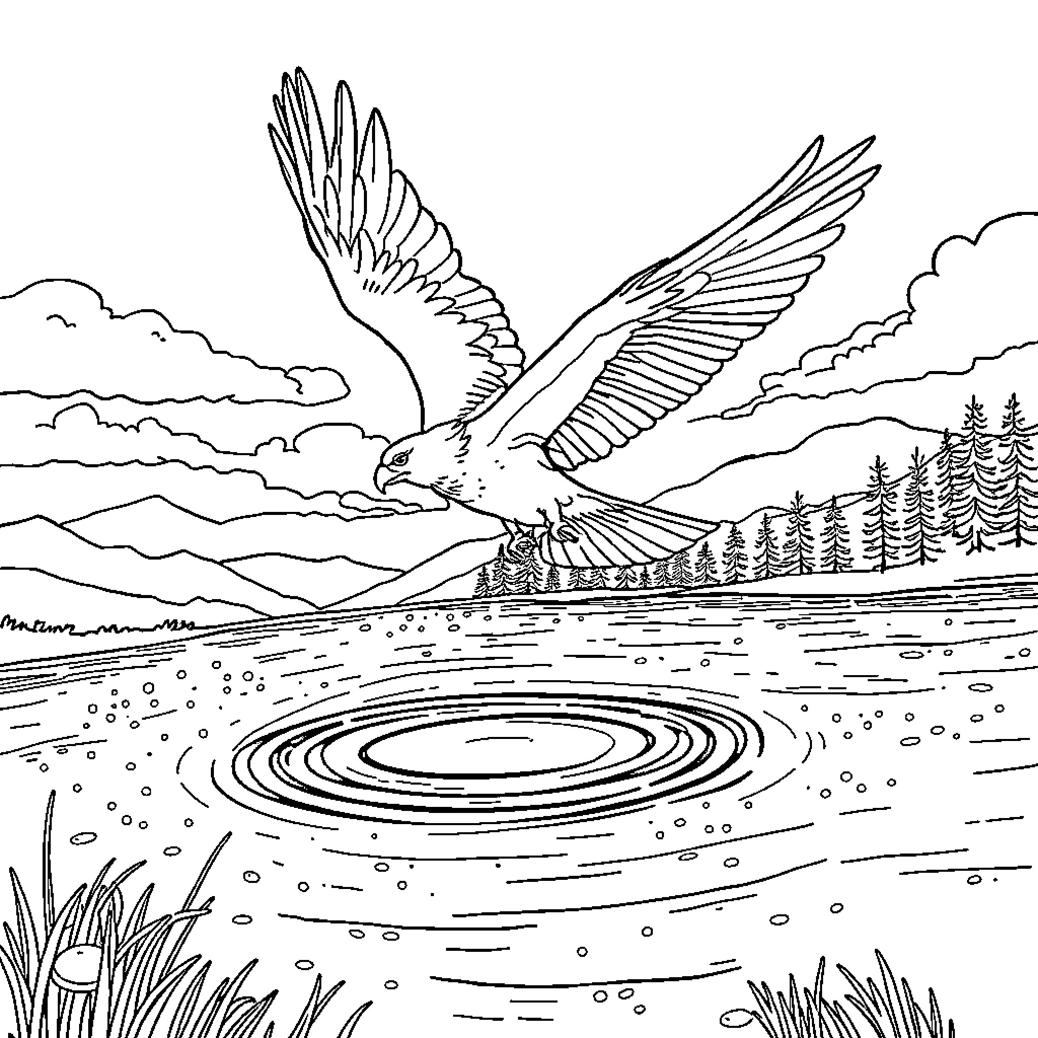 Hawk Soaring Above Rippling Water Coloring Page (free black-and-white line drawing printable PDF for all, from beginners to advanced learners, including children, teens, adults, and seniors)
