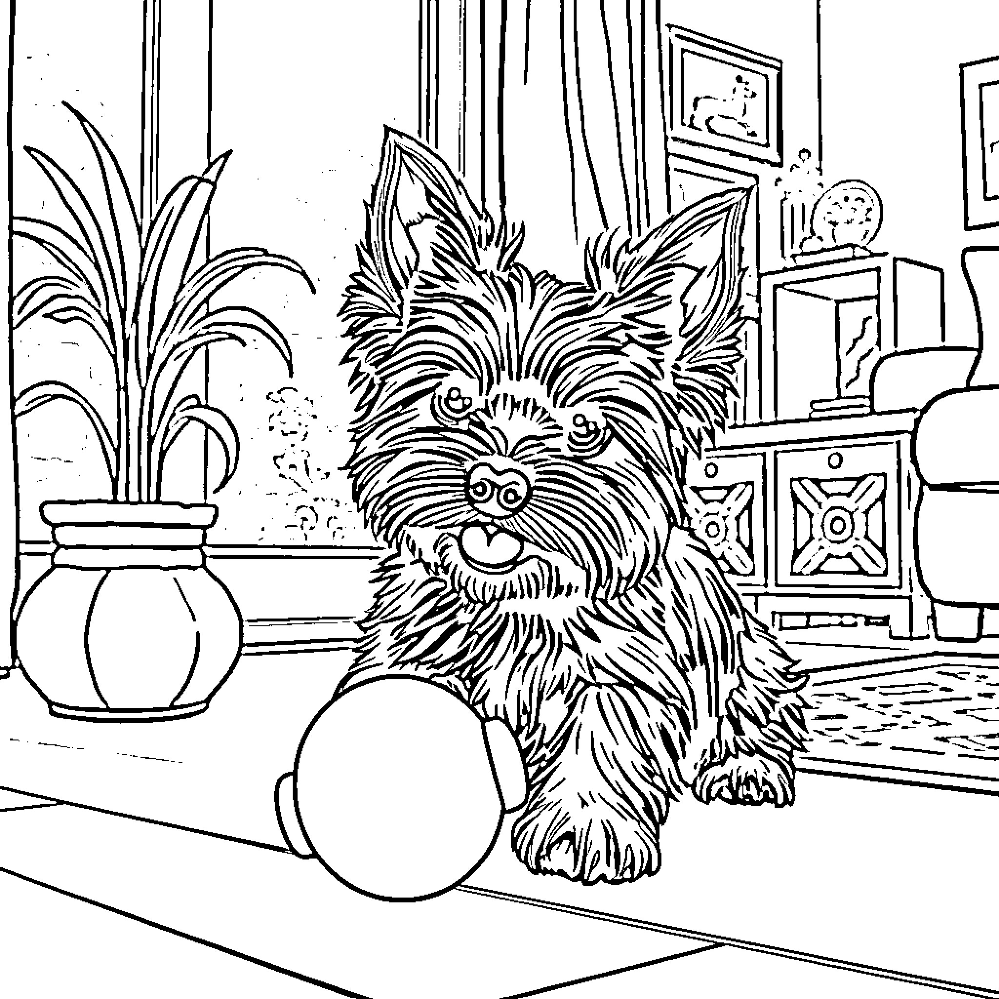 Yorkie pup exploring cozy indoor setting Coloring Page (free black-and-white line drawing printable PDF for all, from beginners to advanced learners, including children, teens, adults, and seniors)