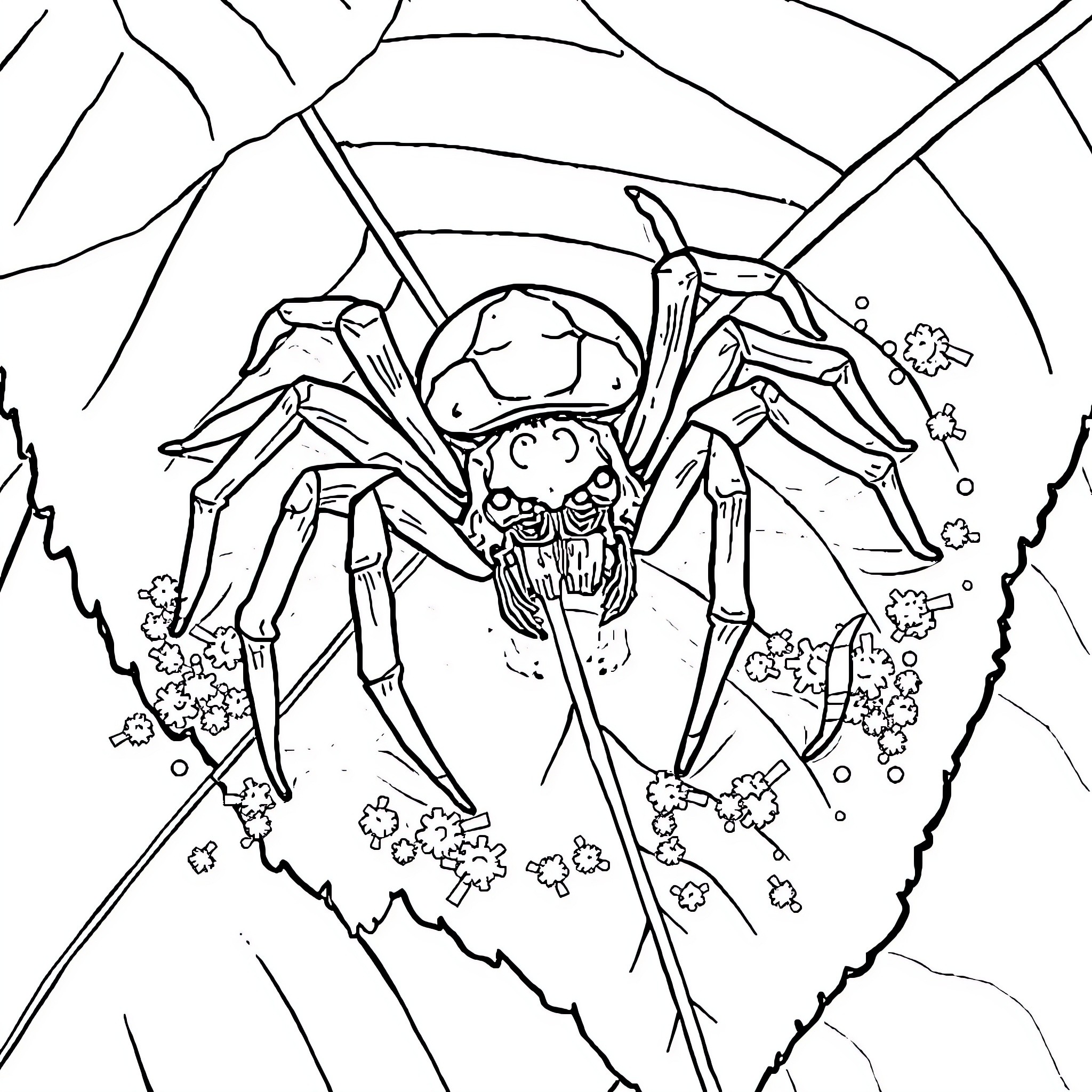 Spider exploring the intricate web Coloring Page (free black-and-white line drawing printable PDF for all, from beginners to advanced learners, including children, teens, adults, and seniors)