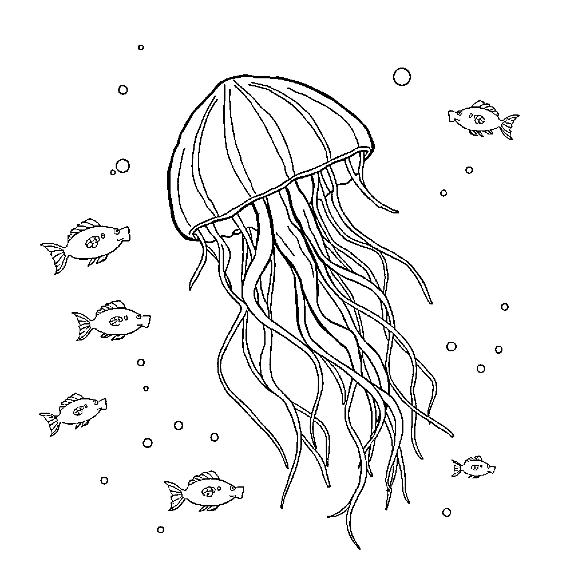 Jellyfish swimming gracefully with underwater fish Coloring Page (free black-and-white line drawing printable PDF for all, from beginners to advanced learners, including children, teens, adults, and seniors)