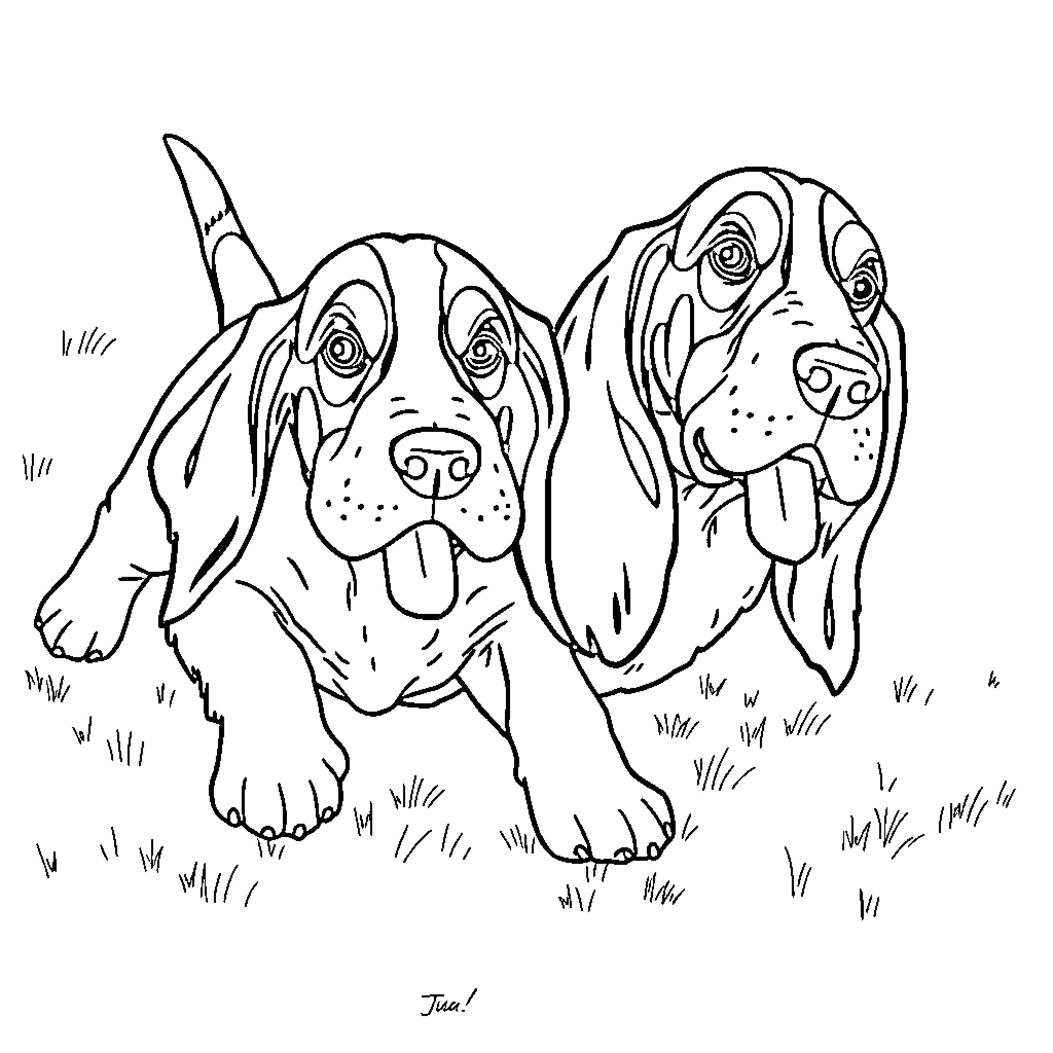 Basset Hounds playing joyfully in the grass Coloring Page (free black-and-white line drawing printable PDF for all, from beginners to advanced learners, including children, teens, adults, and seniors)