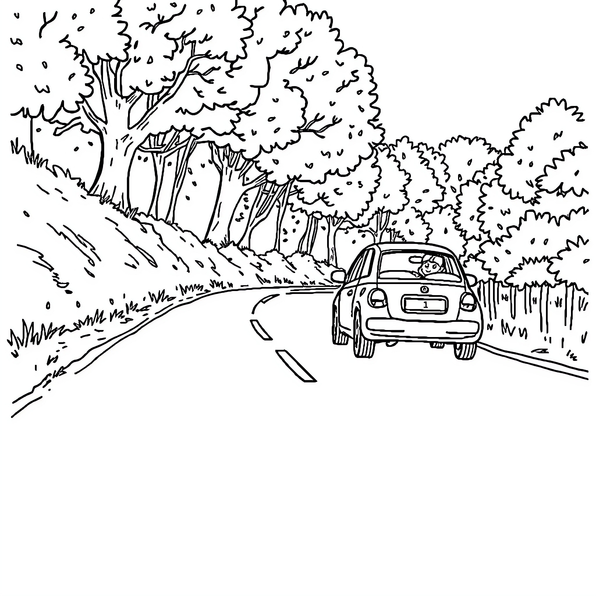 Hedgehog driving along a winding forest road Coloring Page (free black-and-white line drawing printable PDF for all, from beginners to advanced learners, including children, teens, adults, and seniors)