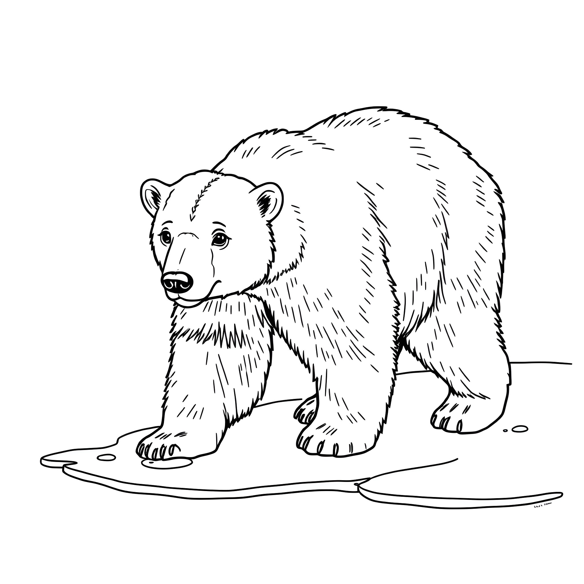 Polar Bear Exploring Icy Terrain Coloring Page (free black-and-white line drawing printable PDF for all, from beginners to advanced learners, including children, teens, adults, and seniors)