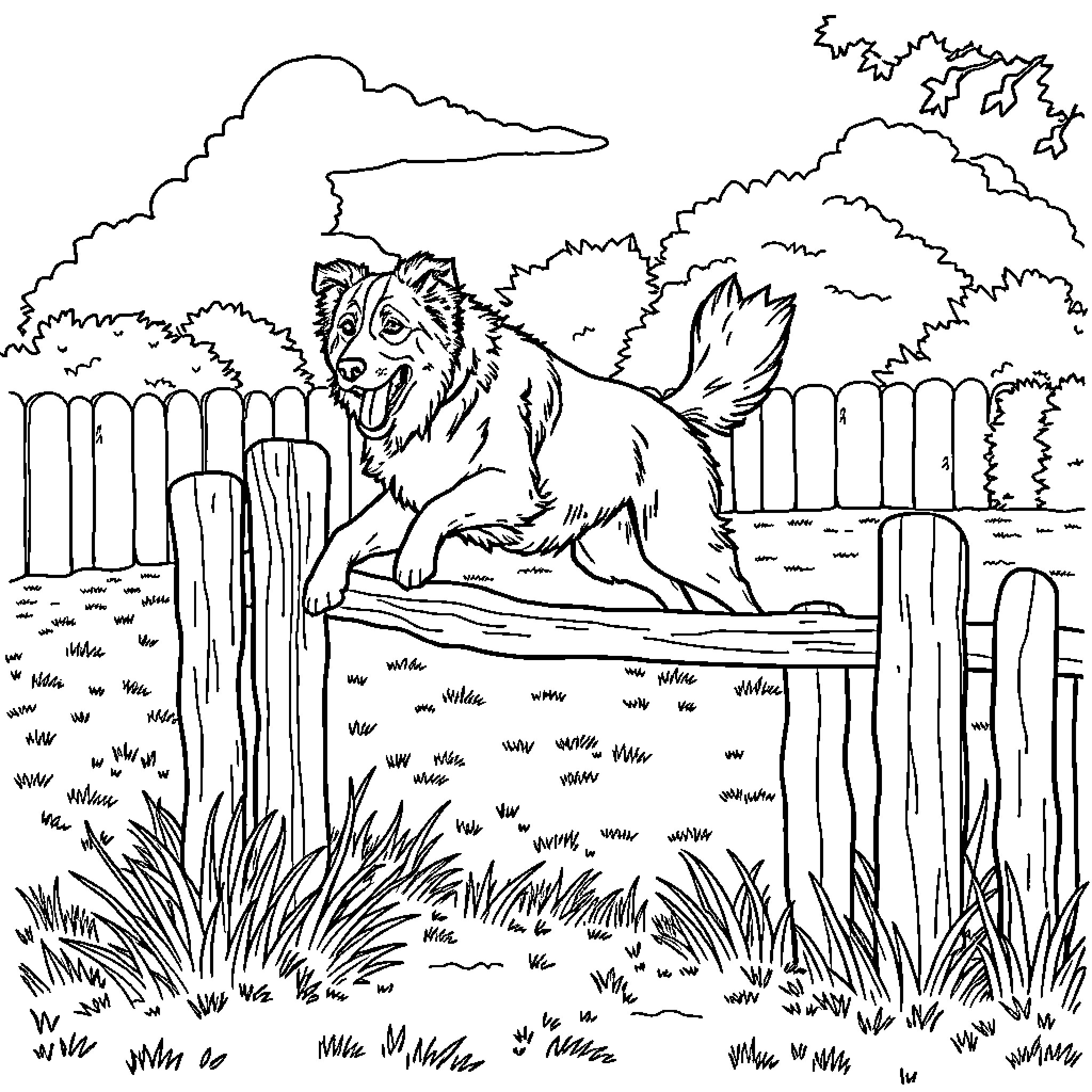 Australian Shepherd playing joyfully in backyard scene Coloring Page (free black-and-white line drawing printable PDF for all, from beginners to advanced learners, including children, teens, adults, and seniors)