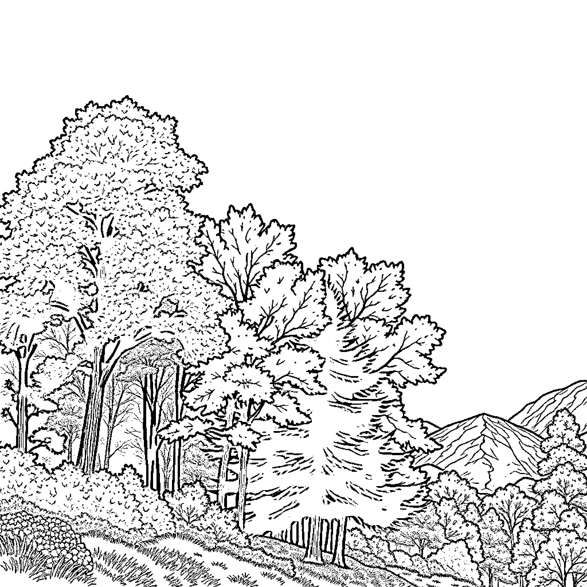 Nature's Serene Landscape: Trees, Foliage, and Mountains Coloring Page (free black-and-white line drawing printable PDF for all, from beginners to advanced learners, including children, teens, adults, and seniors)