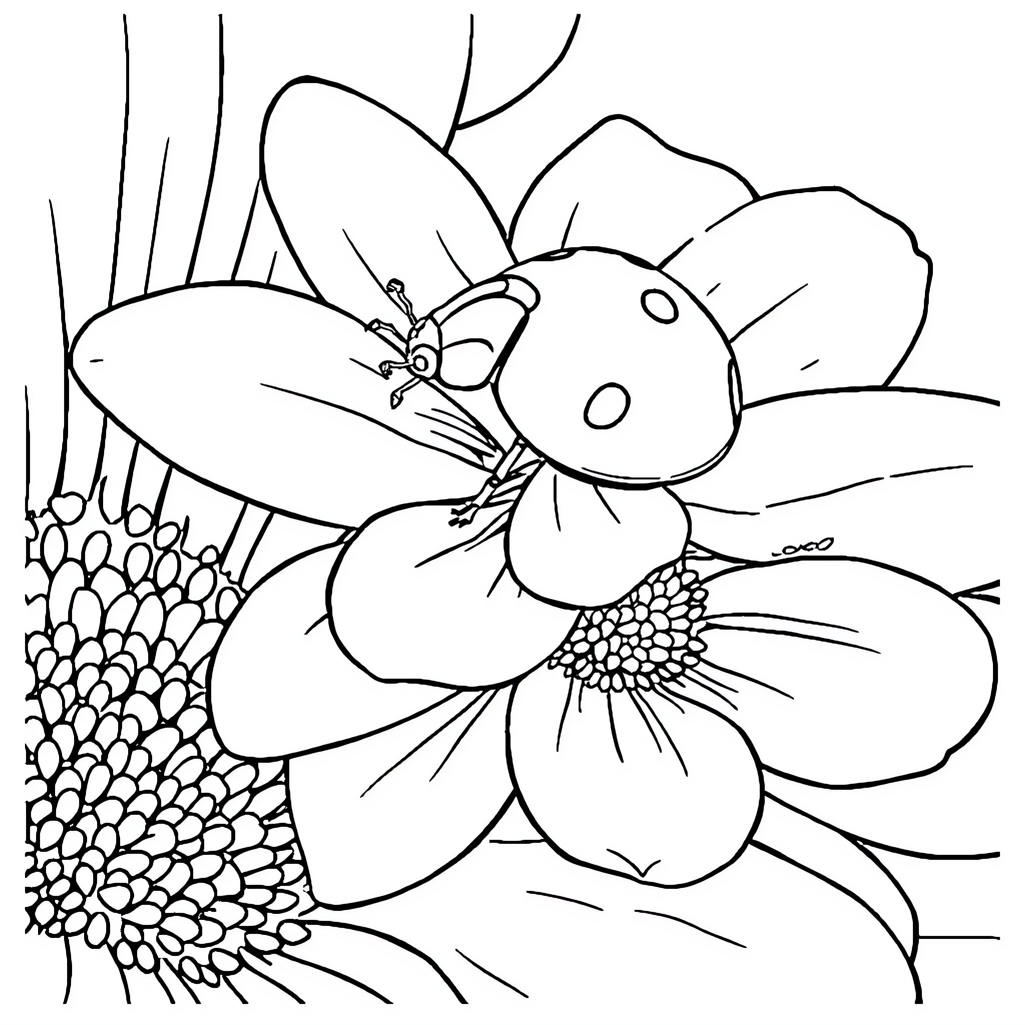 Ladybug resting on flower petals Coloring Page (free black-and-white line drawing printable PDF for all, from beginners to advanced learners, including children, teens, adults, and seniors)
