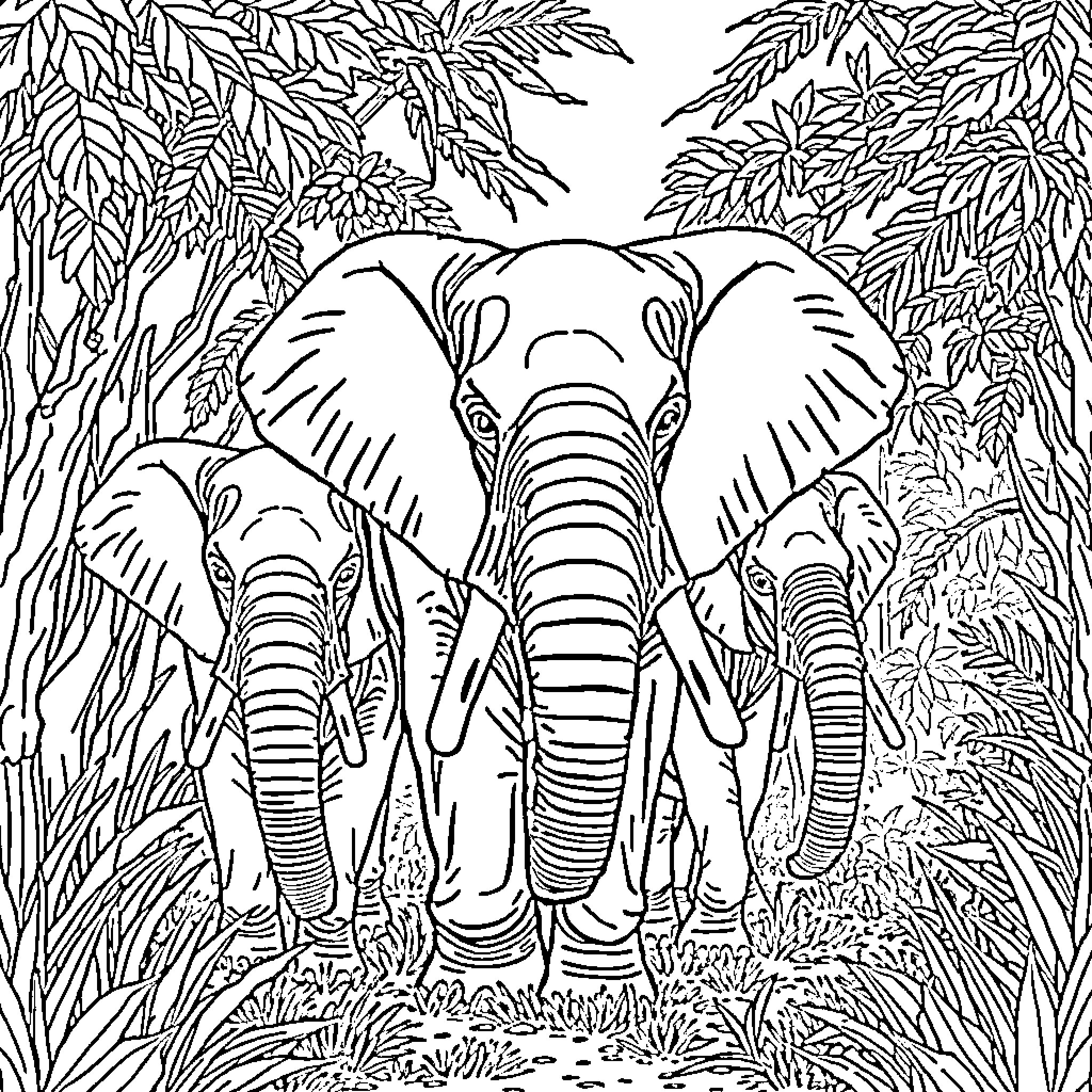 Elephant family in the jungle Coloring Page (free black-and-white line drawing printable PDF for all, from beginners to advanced learners, including children, teens, adults, and seniors)