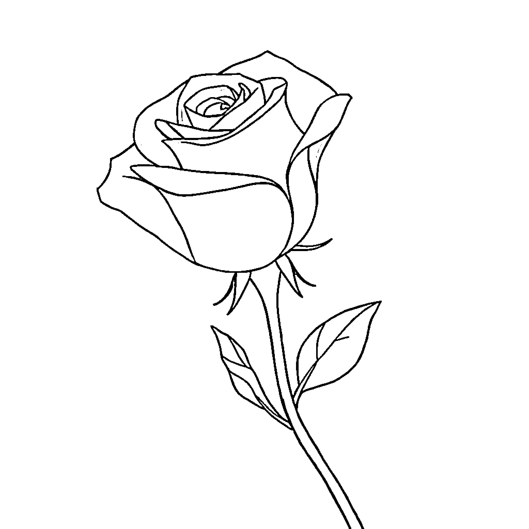 Rose in Simple Elegant Line Drawing Coloring Page (free black-and-white line drawing printable PDF for all, from beginners to advanced learners, including children, teens, adults, and seniors)