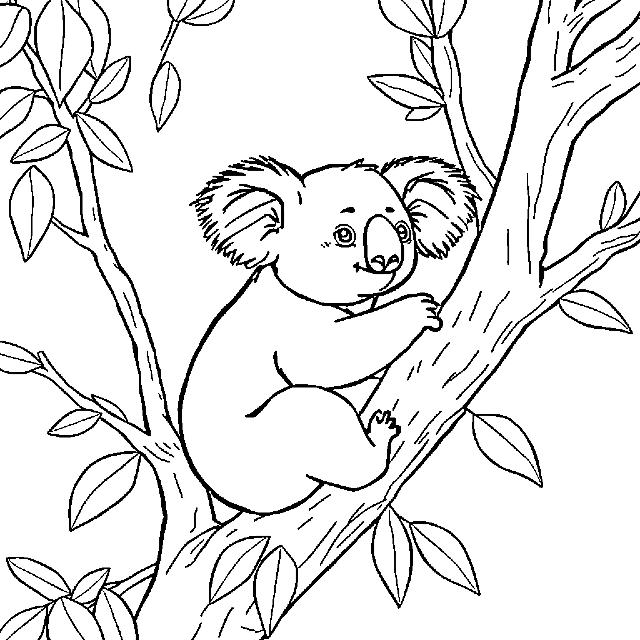 Koala resting comfortably in a tree Coloring Page (free black-and-white line drawing printable PDF for all, from beginners to advanced learners, including children, teens, adults, and seniors)
