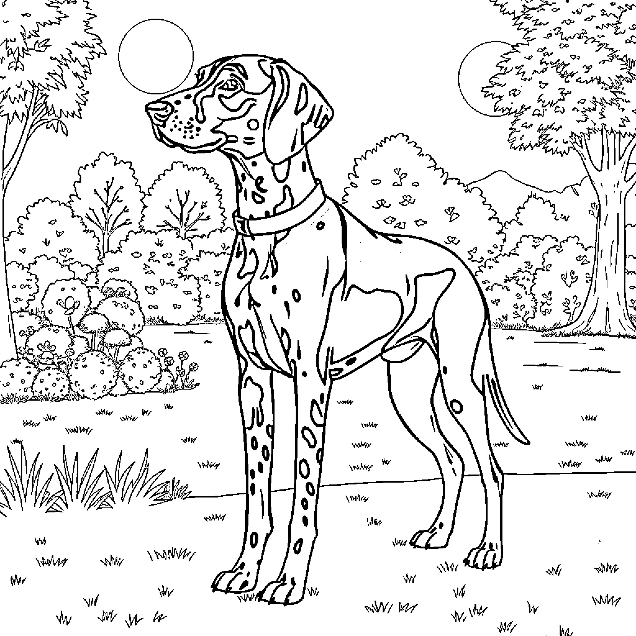 German Shorthaired Pointer exploring the wilderness Coloring Page (free black-and-white line drawing printable PDF for all, from beginners to advanced learners, including children, teens, adults, and seniors)