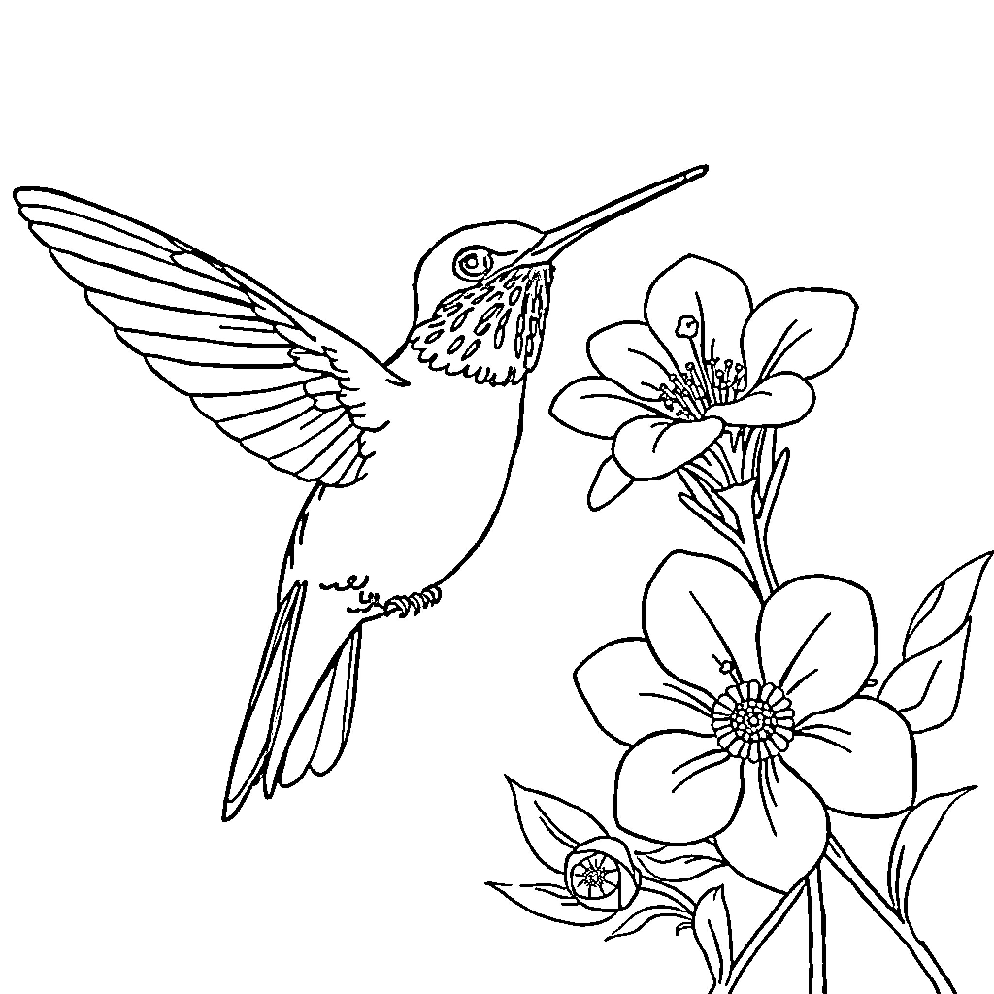Hummingbird hovering near blooming flowers Coloring Page (free black-and-white line drawing printable PDF for all, from beginners to advanced learners, including children, teens, adults, and seniors)