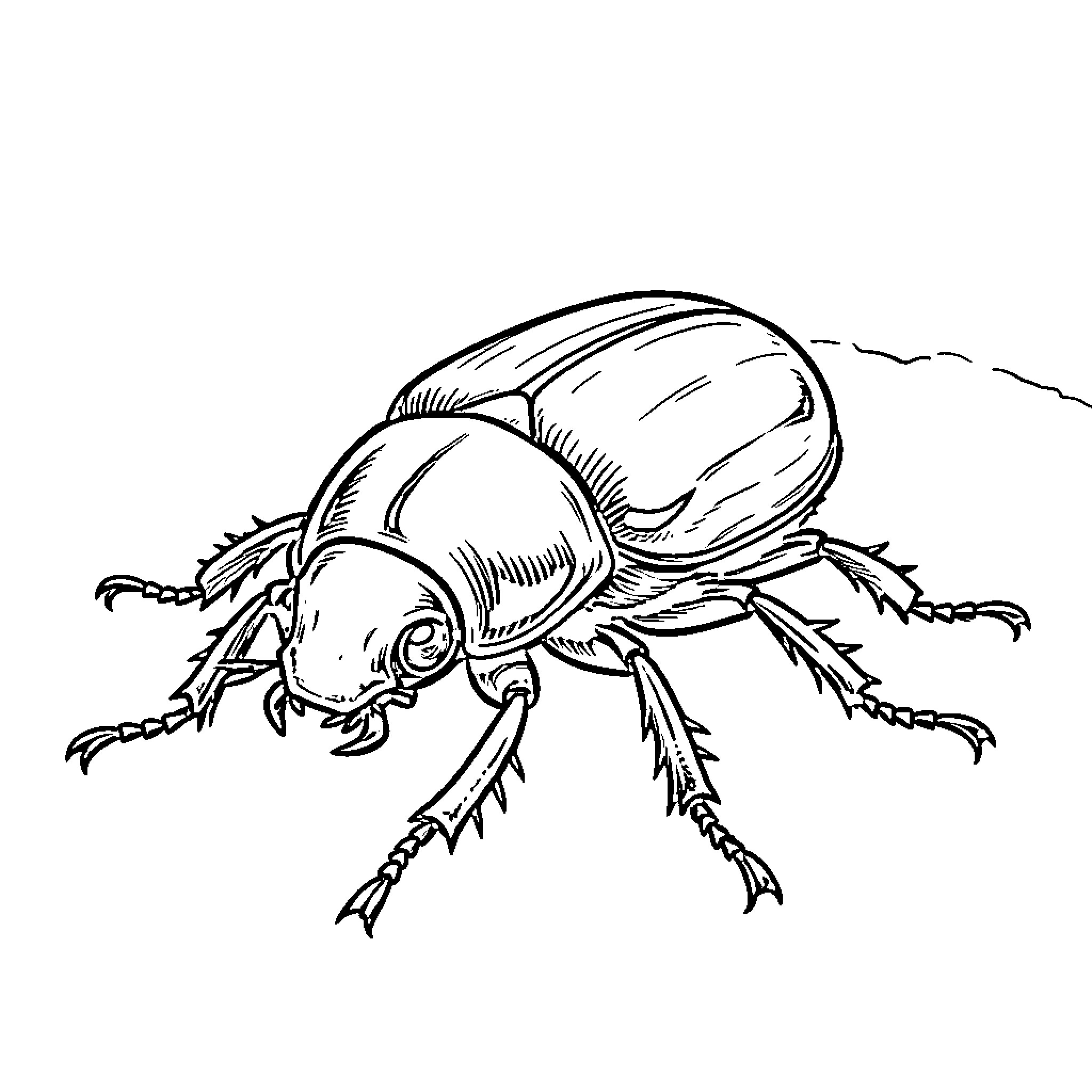 Scarab beetle crawling with determination Coloring Page (free black-and-white line drawing printable PDF for all, from beginners to advanced learners, including children, teens, adults, and seniors)