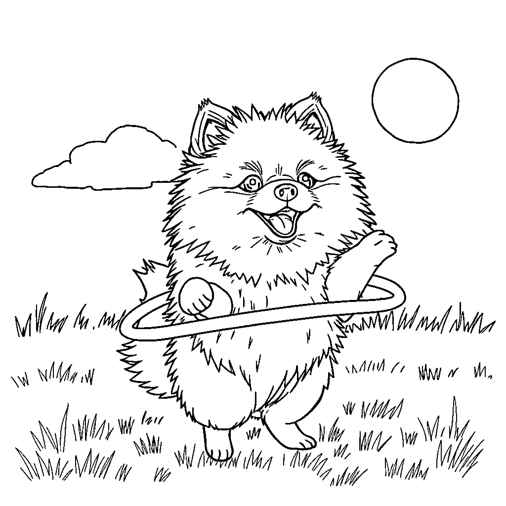 Pomeranian playing with a stick in the park Coloring Page (free black-and-white line drawing printable PDF for all, from beginners to advanced learners, including children, teens, adults, and seniors)
