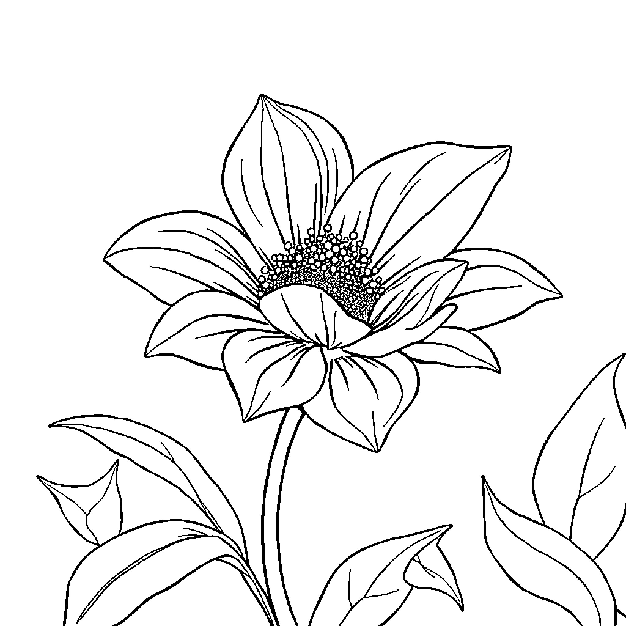 Flower in detailed botanical drawing Coloring Page (free black-and-white line drawing printable PDF for all, from beginners to advanced learners, including children, teens, adults, and seniors)