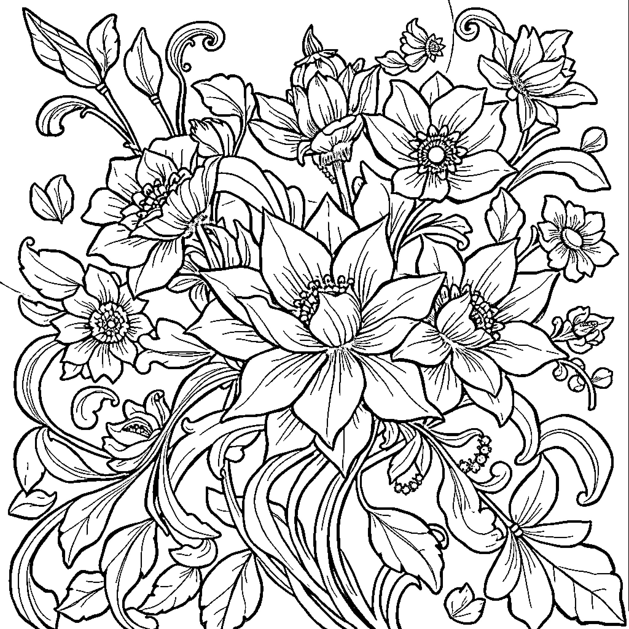 Floral burst of intricate blooms and foliage Coloring Page (free black-and-white line drawing printable PDF for all, from beginners to advanced learners, including children, teens, adults, and seniors)