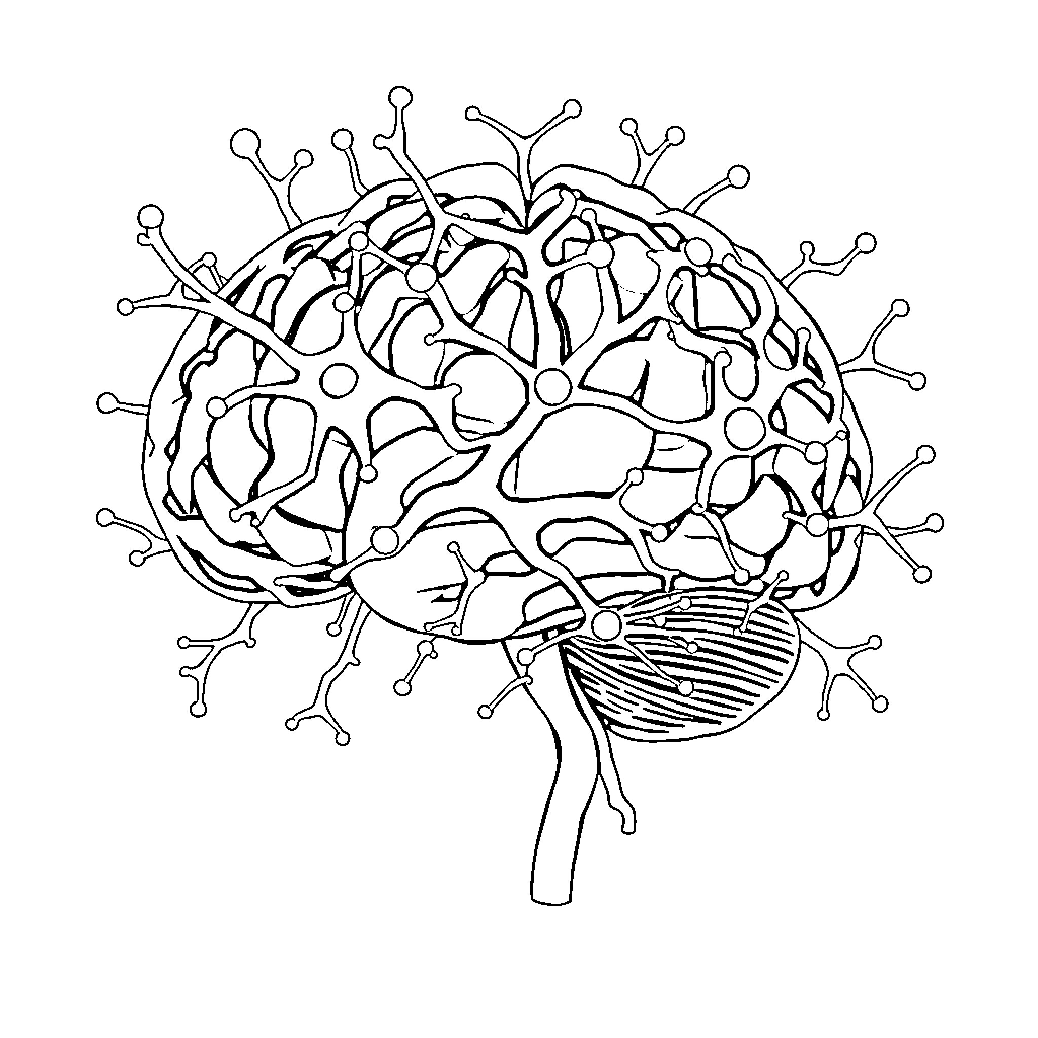 Brain structure in abstract design Coloring Page (free black-and-white line drawing printable PDF for all, from beginners to advanced learners, including children, teens, adults, and seniors)