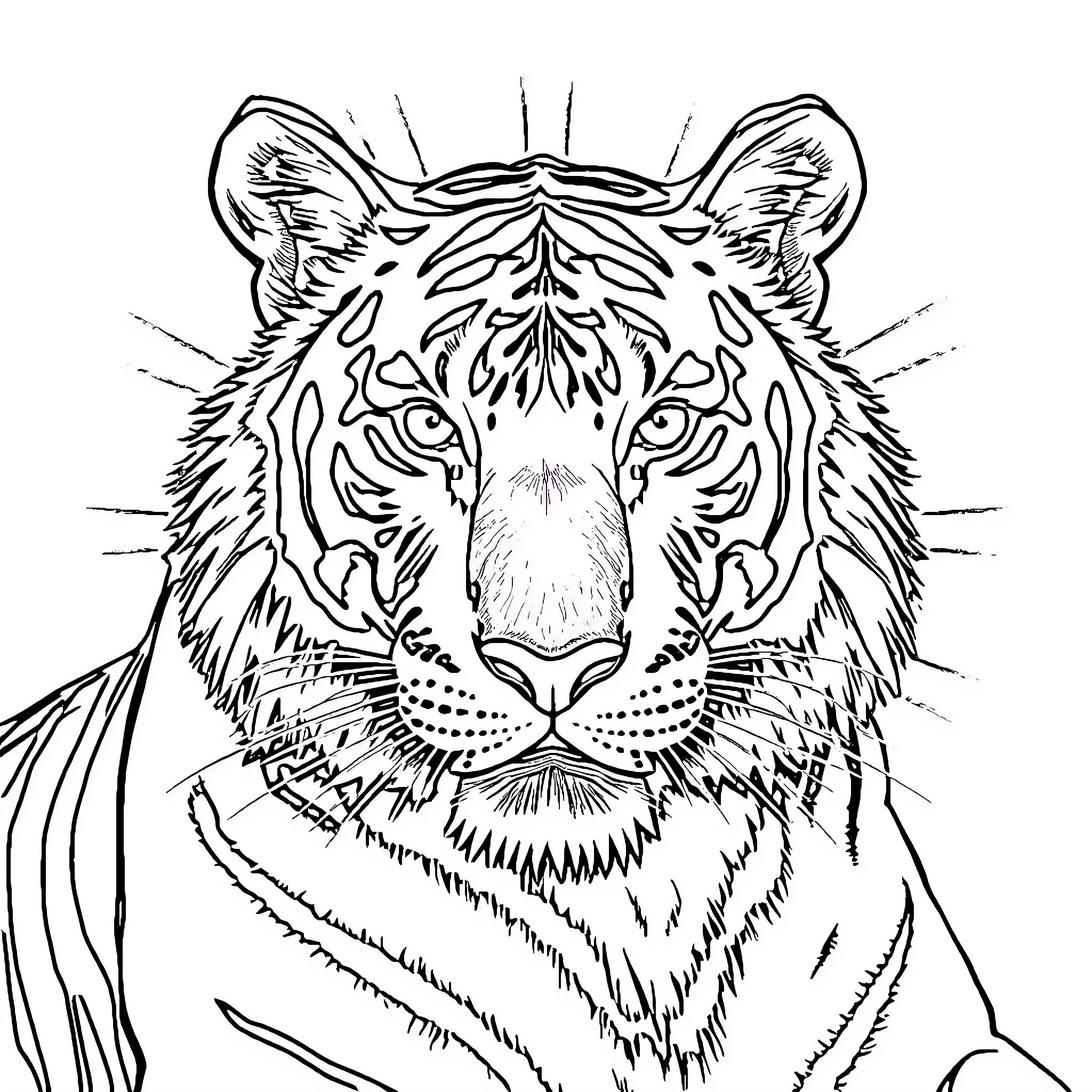 Tiger intently gazing with fierce expression Coloring Page (free black-and-white line drawing printable PDF for all, from beginners to advanced learners, including children, teens, adults, and seniors)