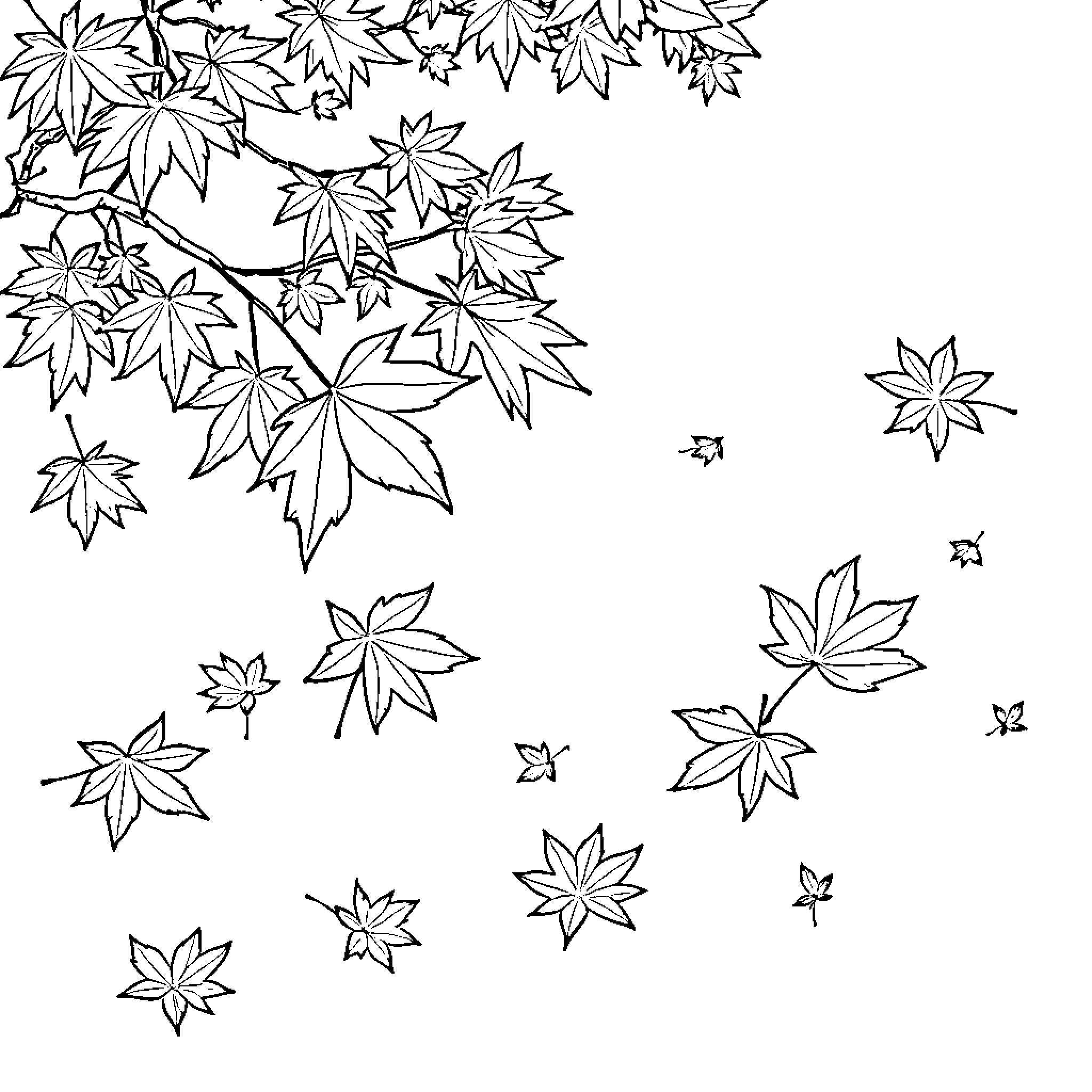 Maple Leaf Patterns and Designs Coloring Page (free black-and-white line drawing printable PDF for all, from beginners to advanced learners, including children, teens, adults, and seniors)