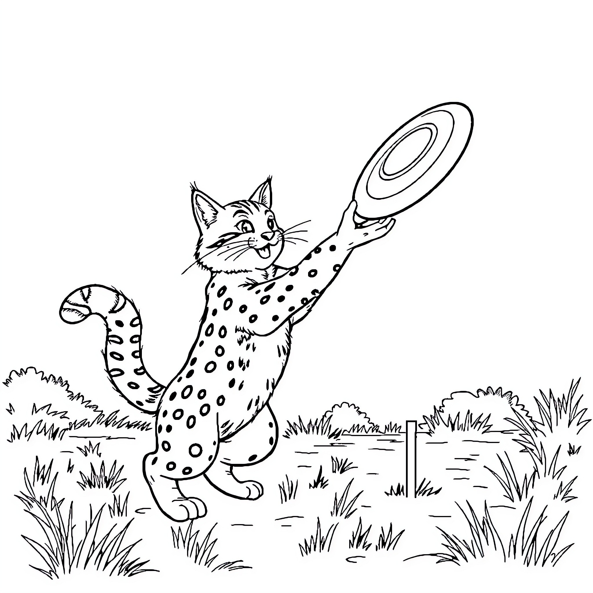 Bobcat Playing Joyfully in the Wilderness Coloring Page (free black-and-white line drawing printable PDF for all, from beginners to advanced learners, including children, teens, adults, and seniors)