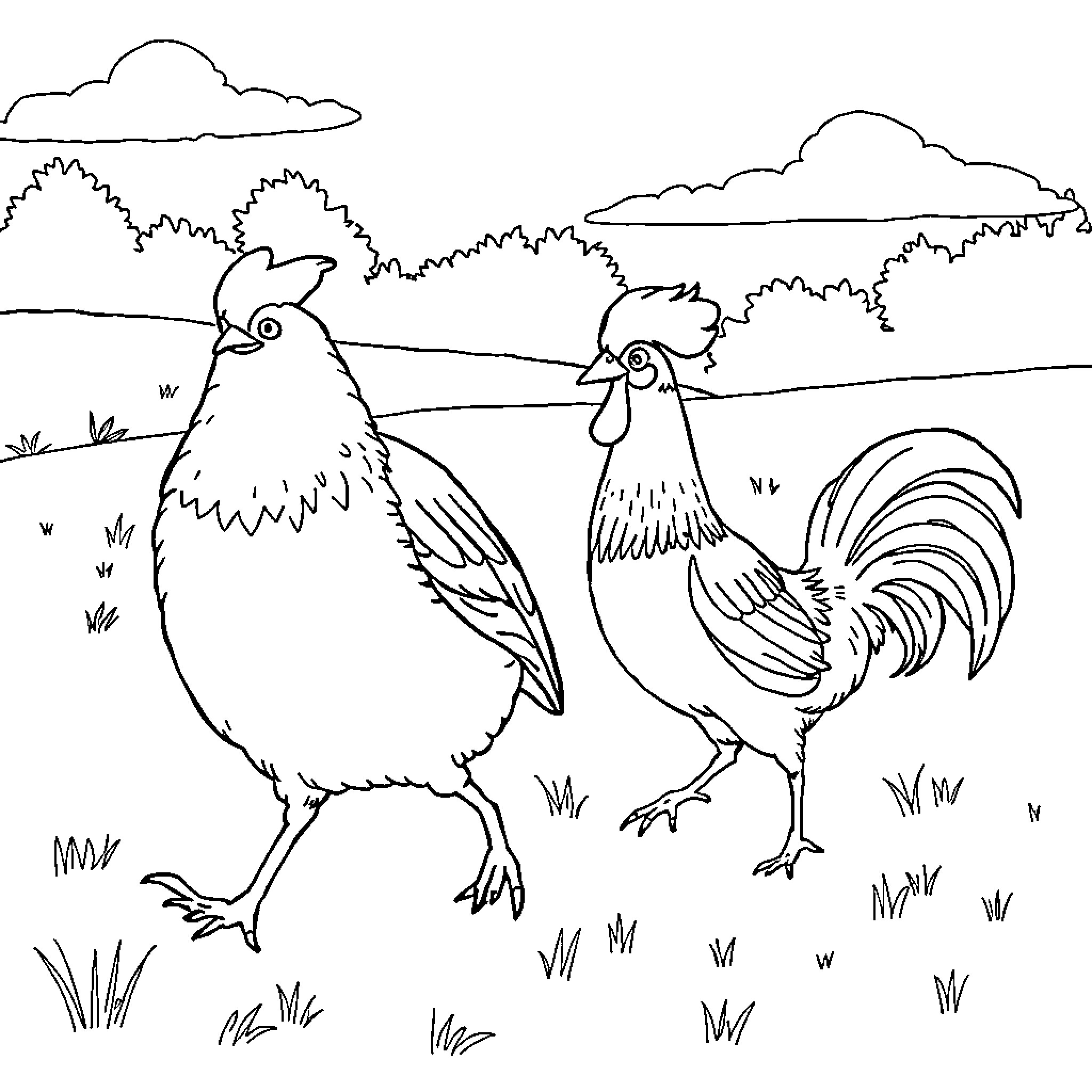 Ostriches enjoying a peaceful country scene Coloring Page (free black-and-white line drawing printable PDF for all, from beginners to advanced learners, including children, teens, adults, and seniors)