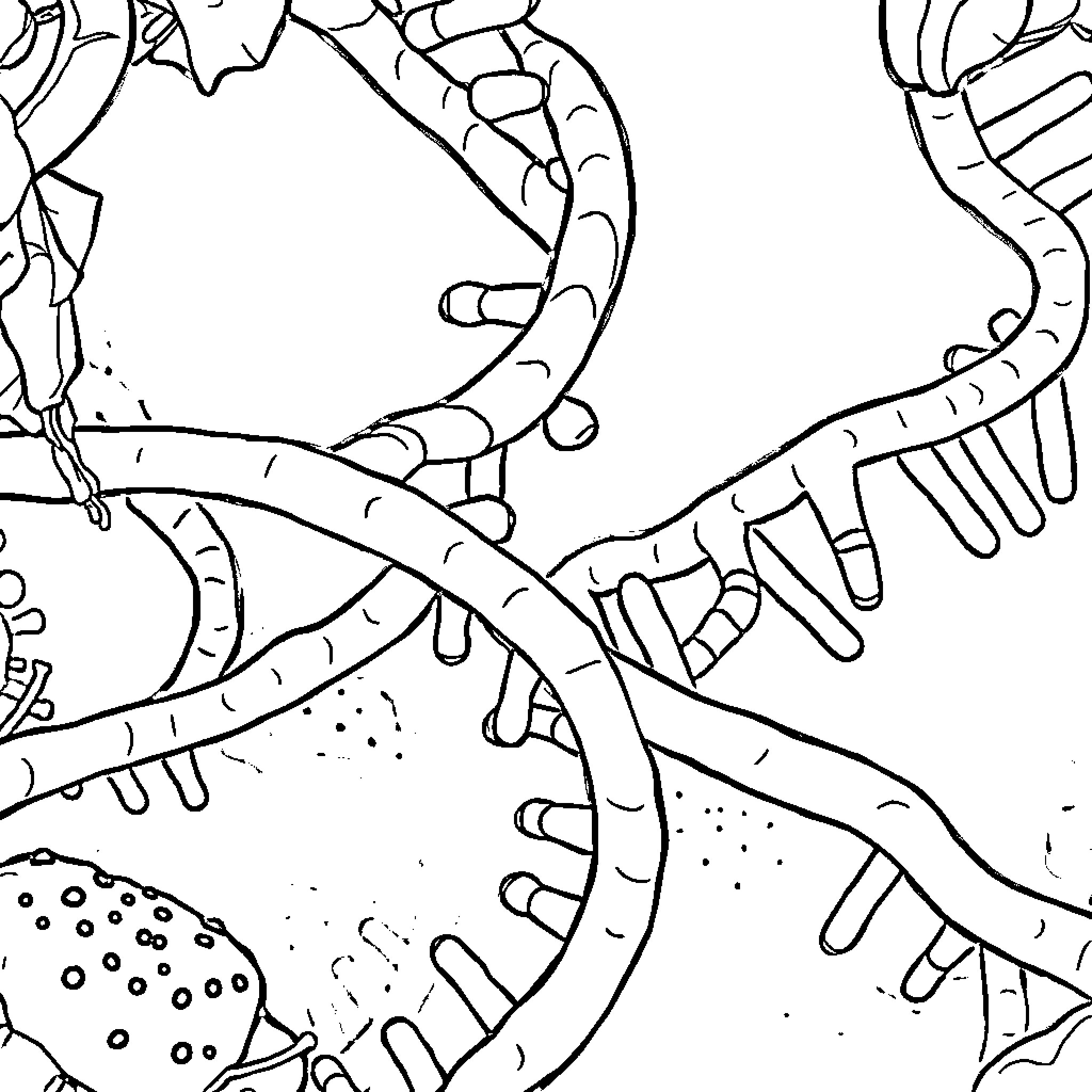 Strawberry-shaped abstract pattern with organic shapes Coloring Page (free black-and-white line drawing printable PDF for all, from beginners to advanced learners, including children, teens, adults, and seniors)