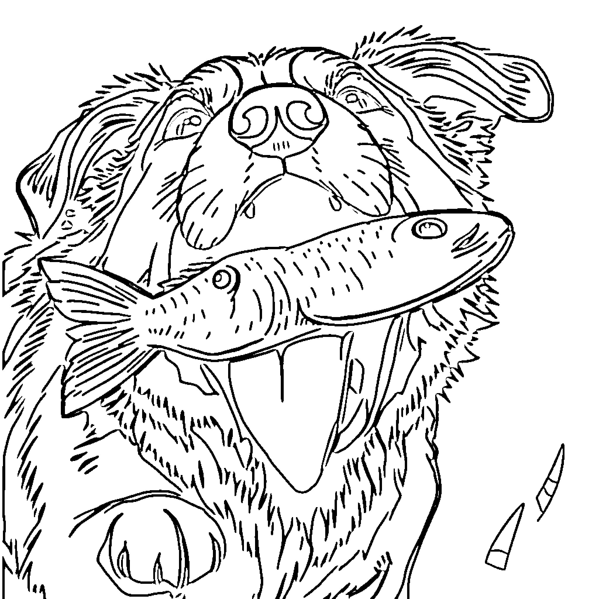 Dog with fish in mouth Coloring Page (free black-and-white line drawing printable PDF for all, from beginners to advanced learners, including children, teens, adults, and seniors)