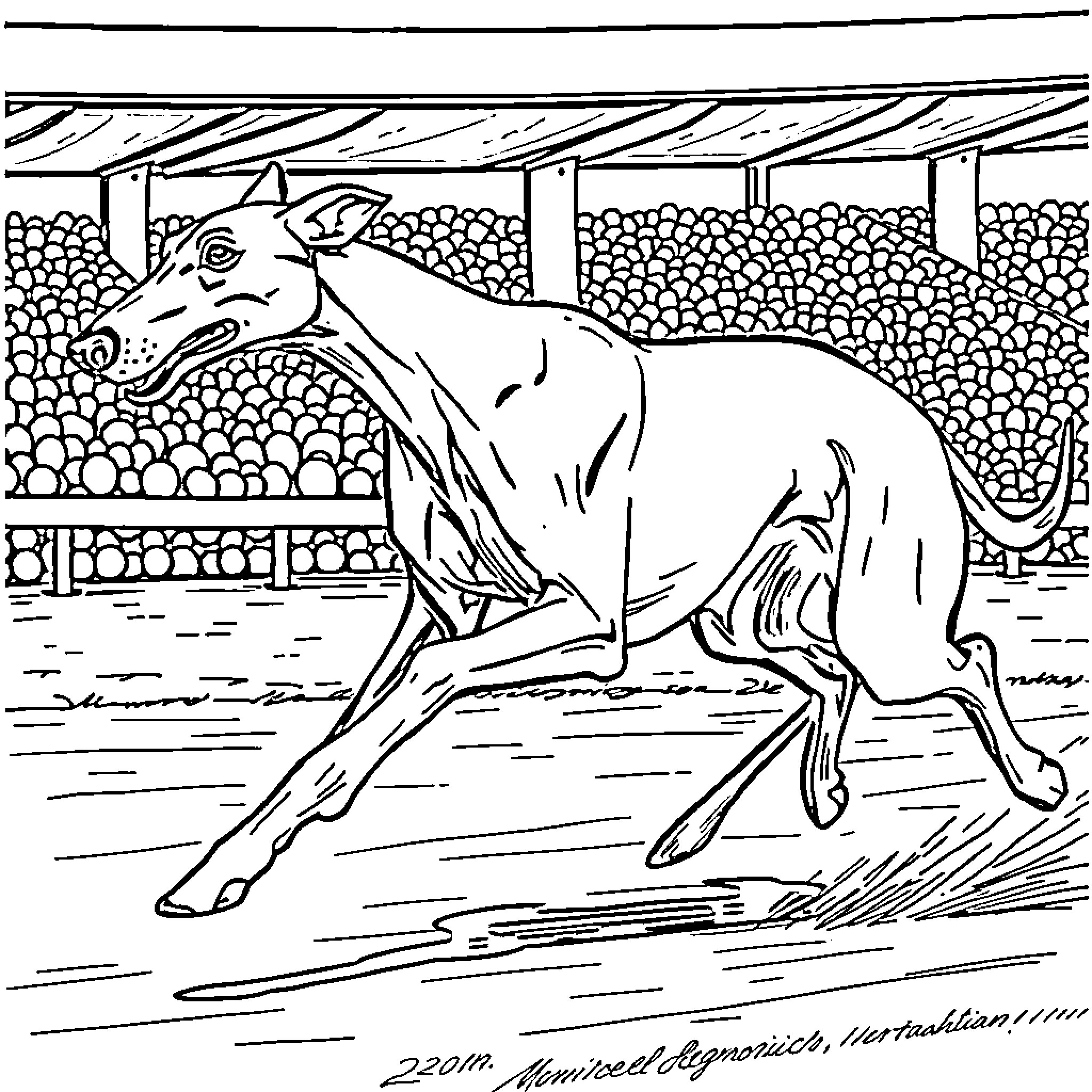 Greyhound racing on the track Coloring Page (free black-and-white line drawing printable PDF for all, from beginners to advanced learners, including children, teens, adults, and seniors)