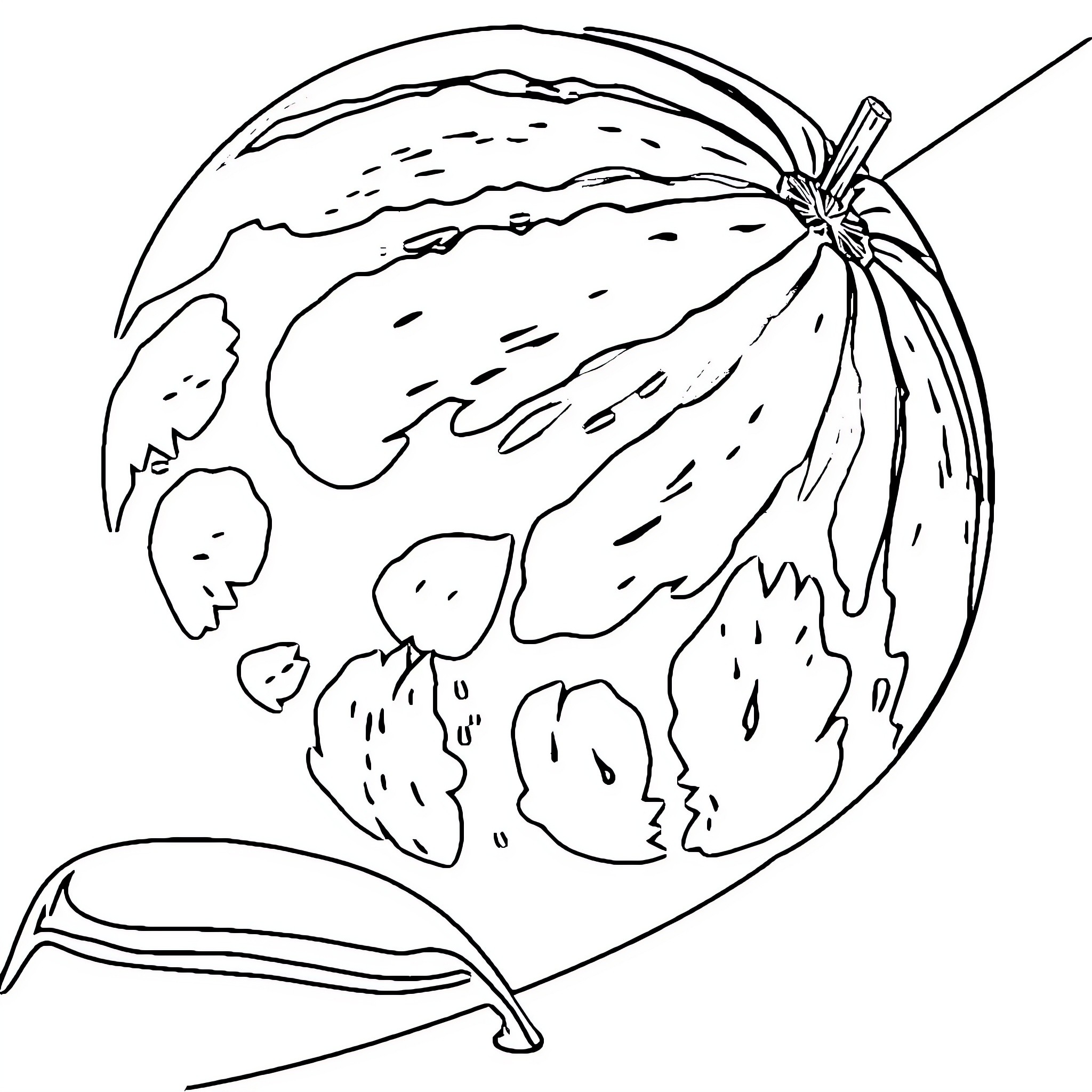 Best elephant unicorn coloring pages free printable pdf 