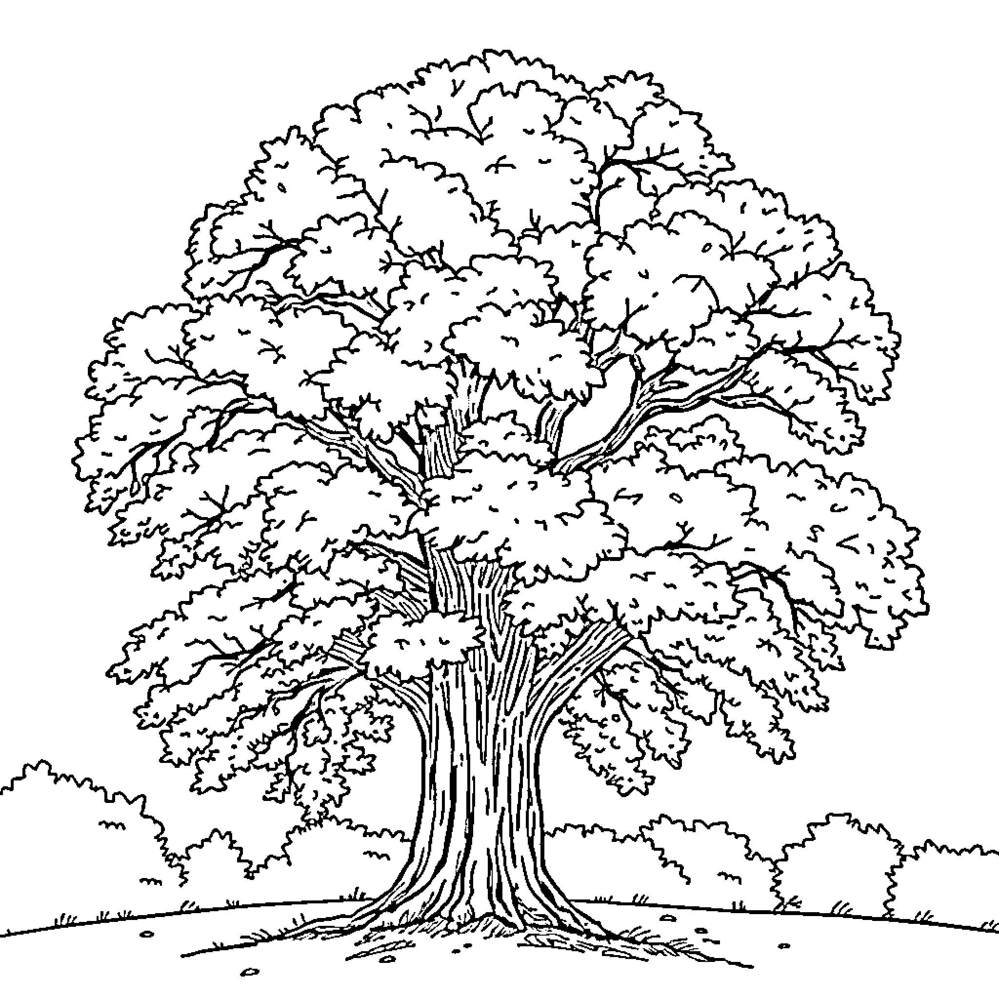 Oak Tree standing tall in nature landscape Coloring Page (free black-and-white line drawing printable PDF for all, from beginners to advanced learners, including children, teens, adults, and seniors)