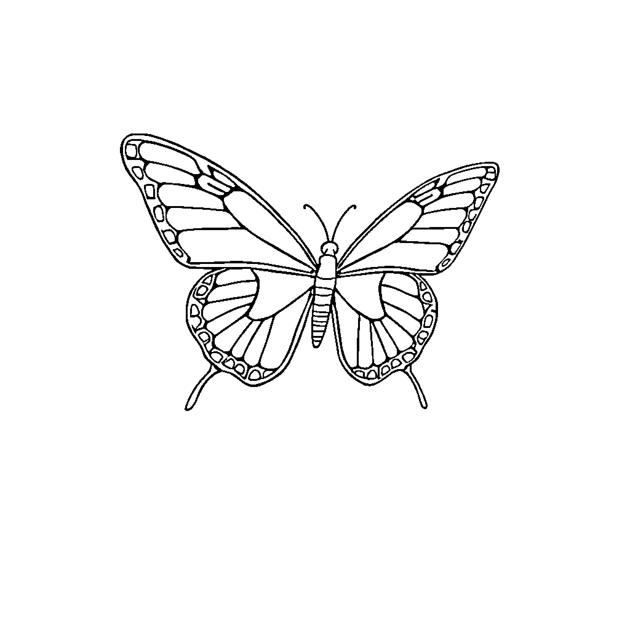 Butterfly outlined in simple sketch style Coloring Page (free black-and-white line drawing printable PDF for all, from beginners to advanced learners, including children, teens, adults, and seniors)