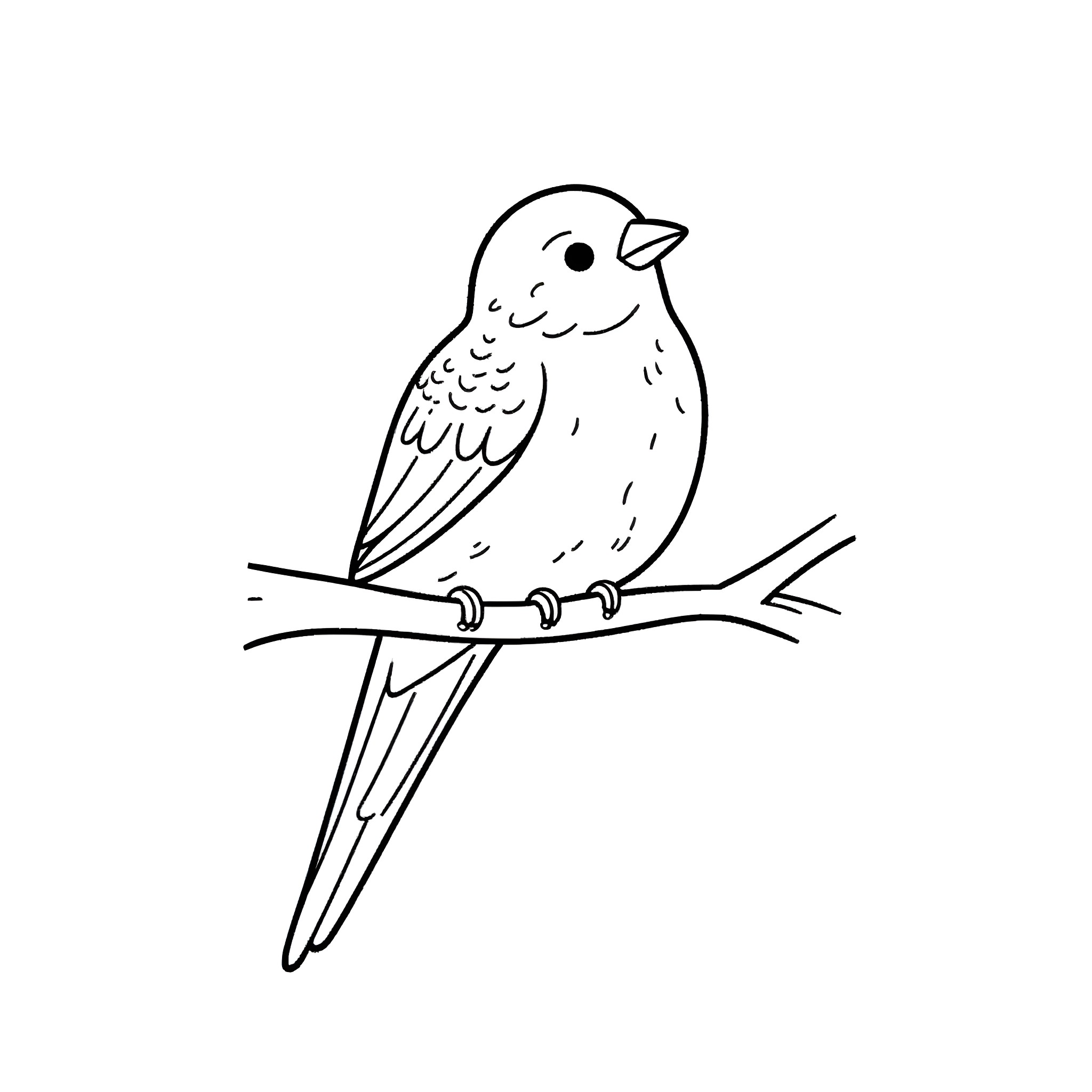 Budgie perching on a branch Coloring Page (free black-and-white line drawing printable PDF for all, from beginners to advanced learners, including children, teens, adults, and seniors)